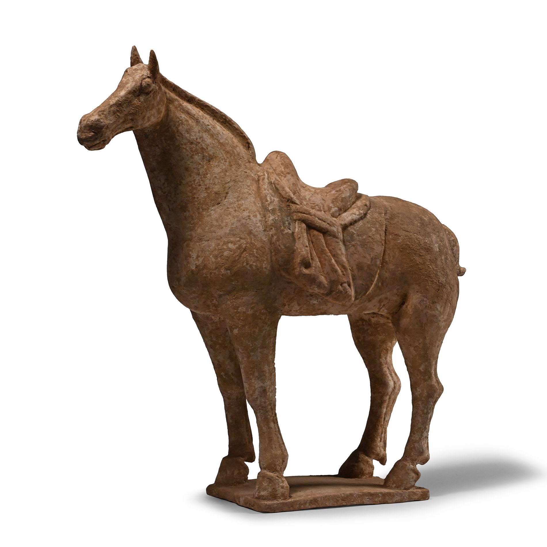 Chinese Tang Terracotta Horse