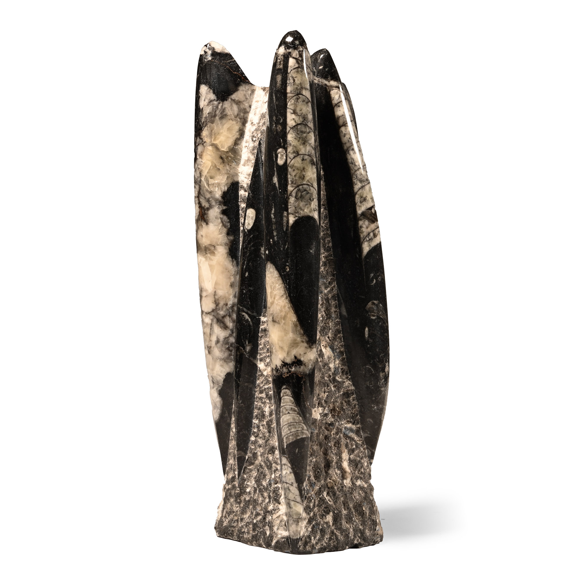 Natural History - Fossil Orthoceras Column