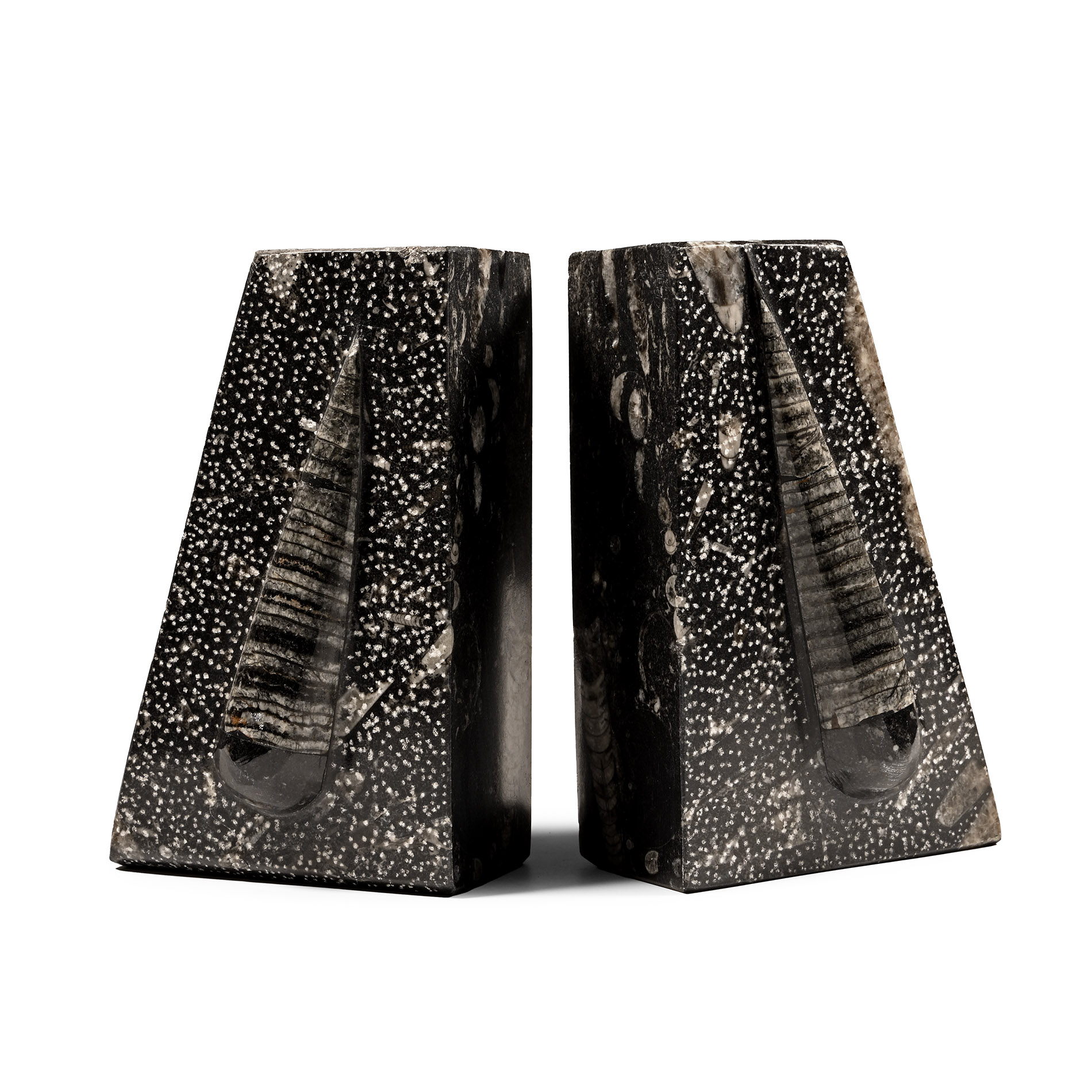 Natural History - Polished Fossil Orthoceras Bookends