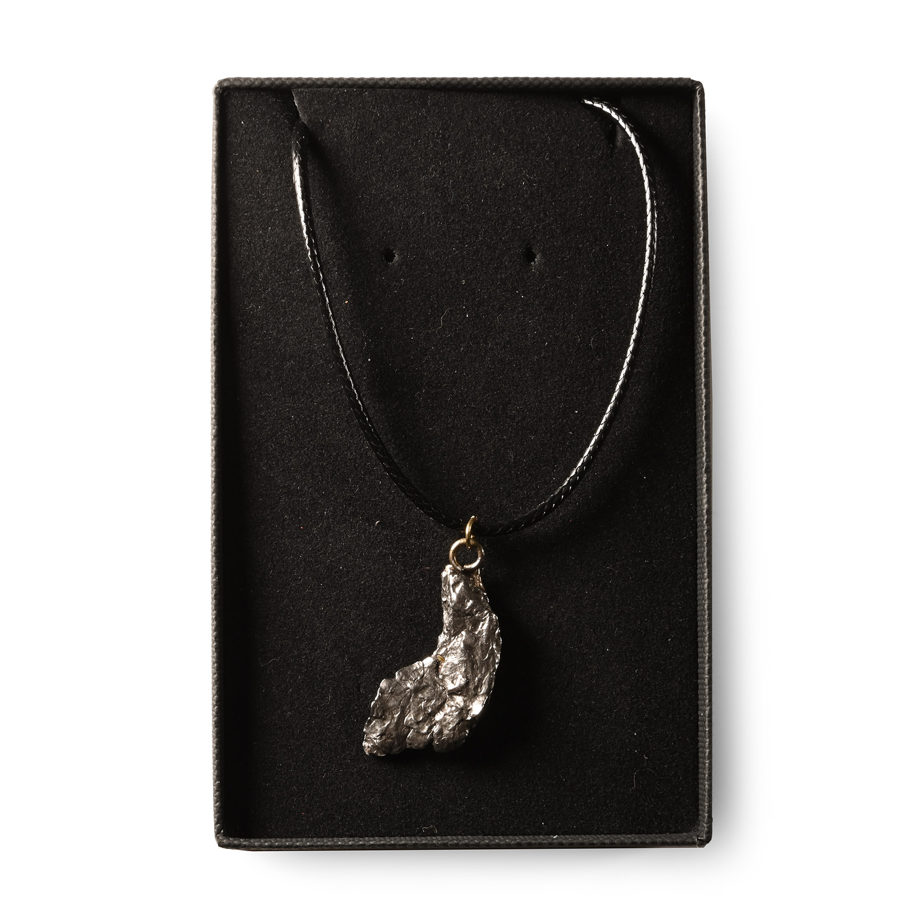 Natural History - Campo Del Cielo Meteorite Necklace