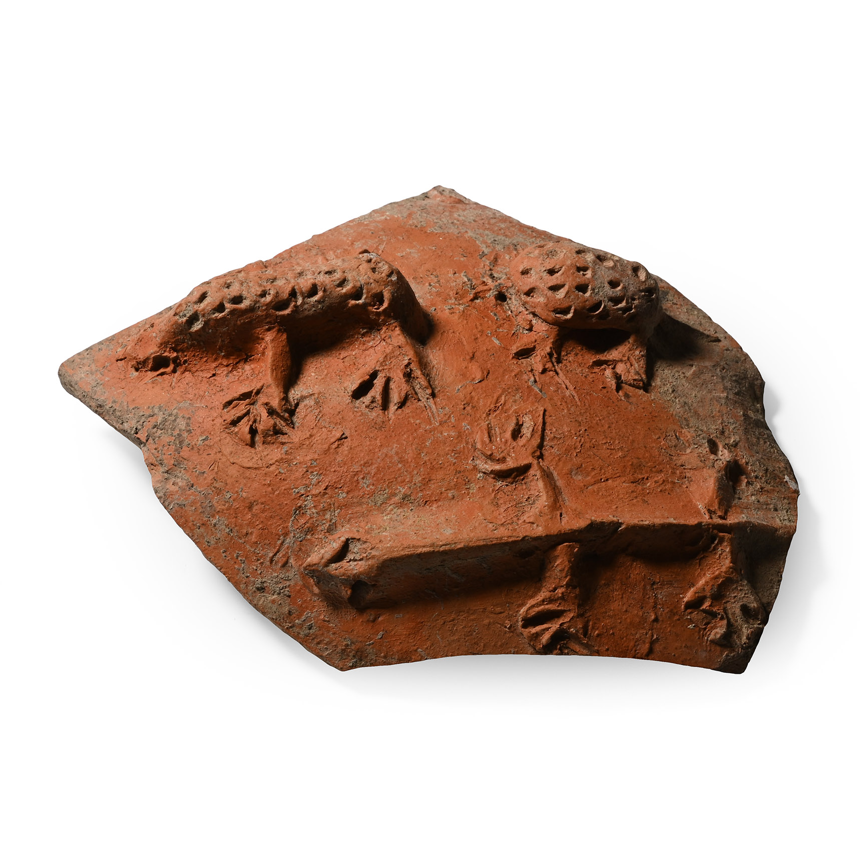 Redware Fragment with Amphibians