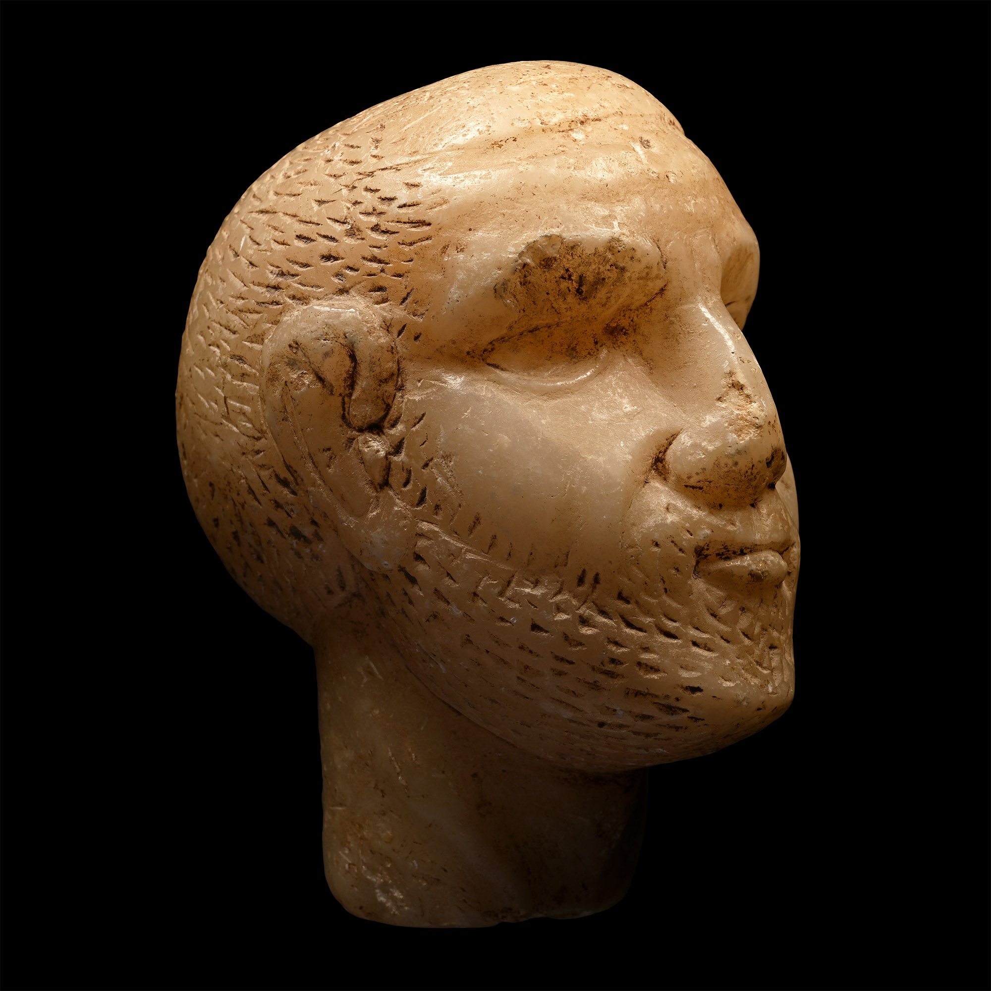South Arabian Alabaster Male Head