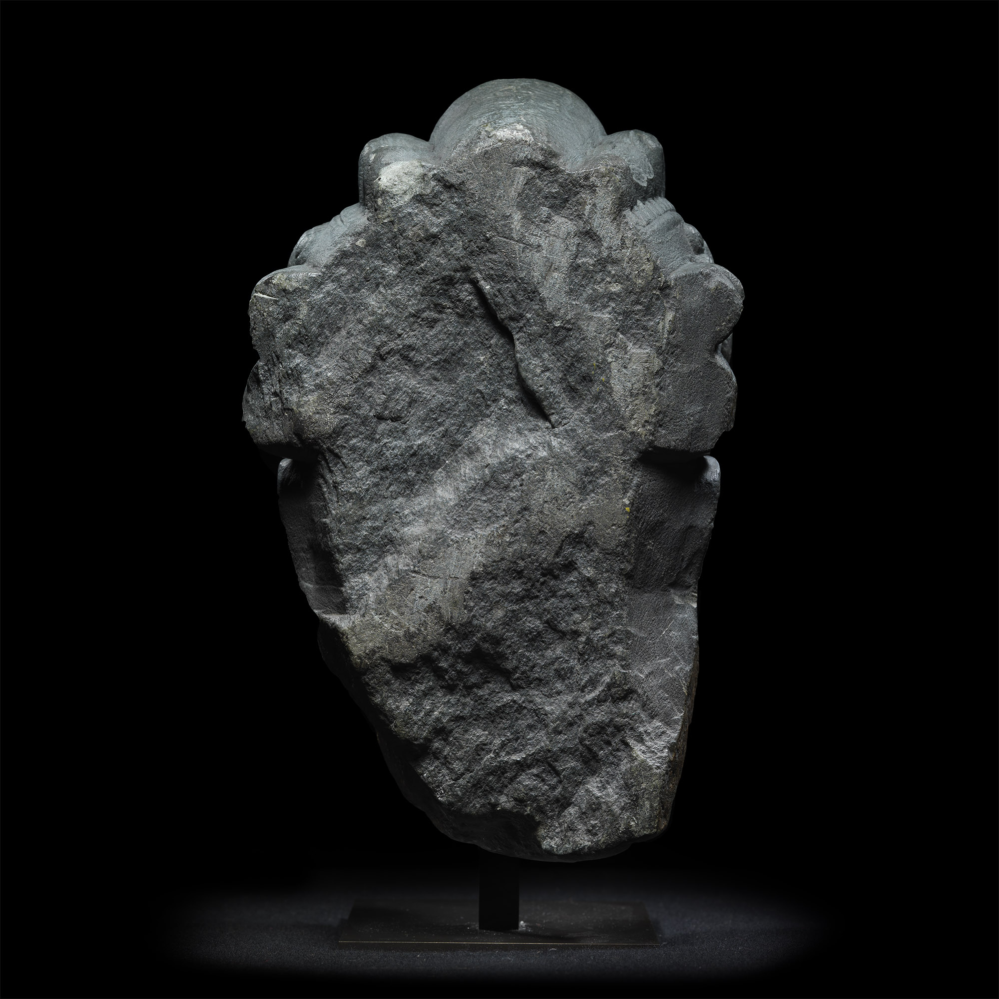 'The Kelton' Gandharan Head of a Bodhisattva