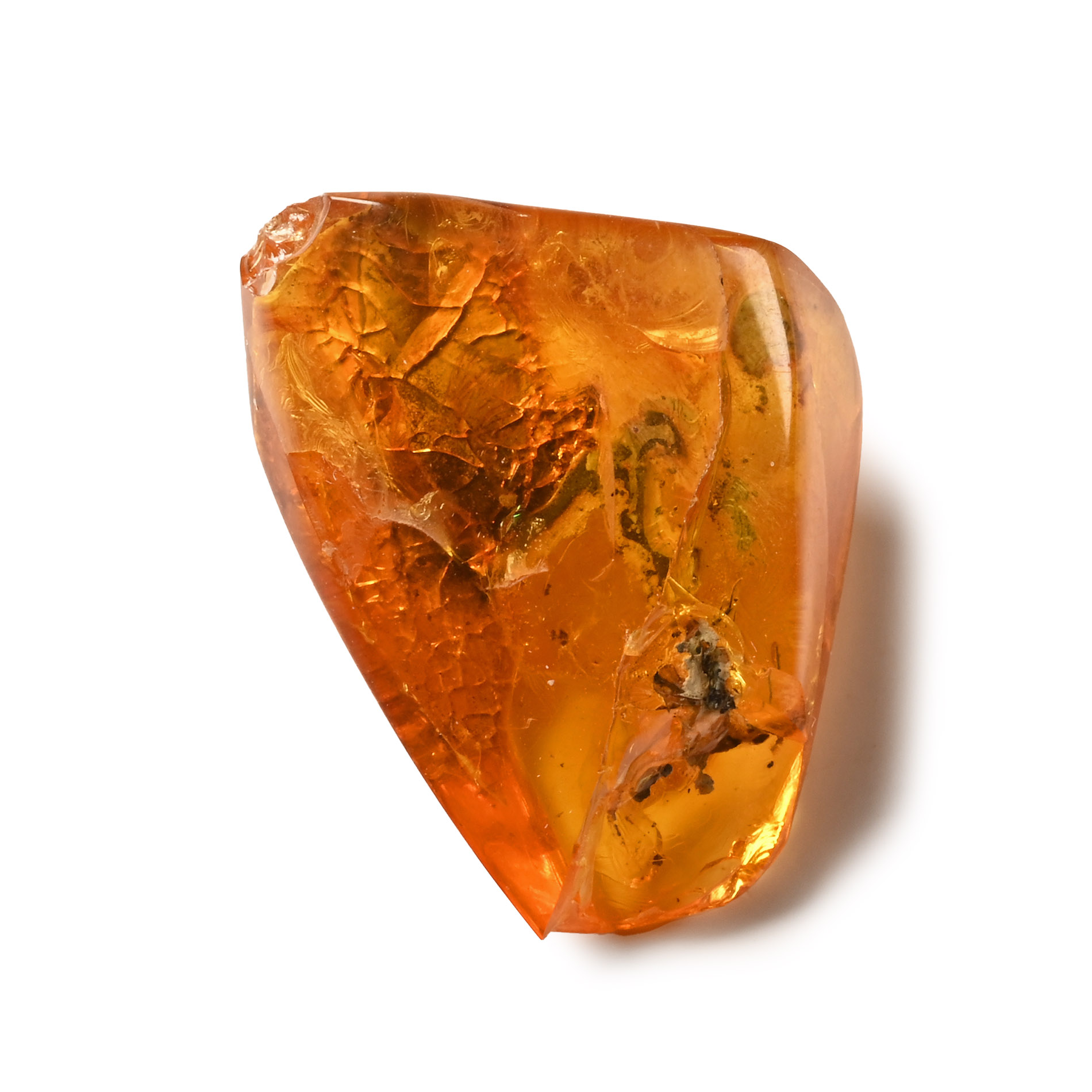 Polished Baltic Amber with Inclusions