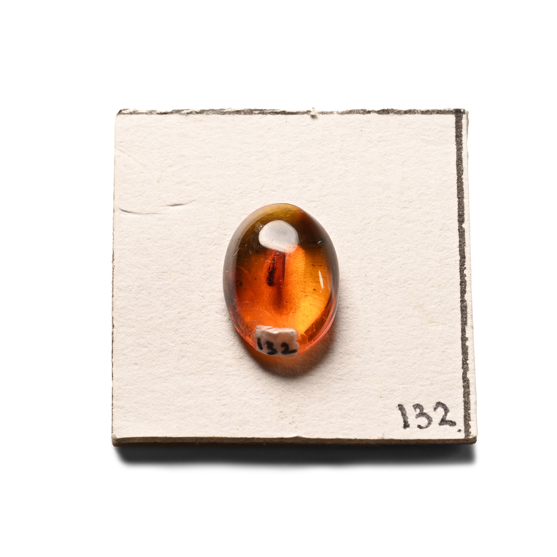 Polished Baltic Amber with Insect