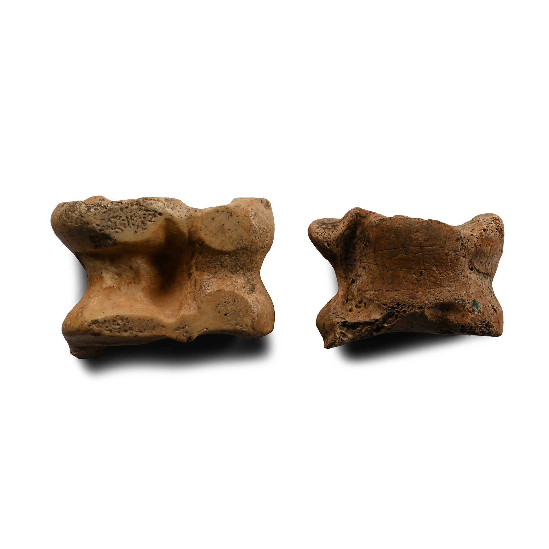 Roman Knuckle Bones Gaming Piece Pair