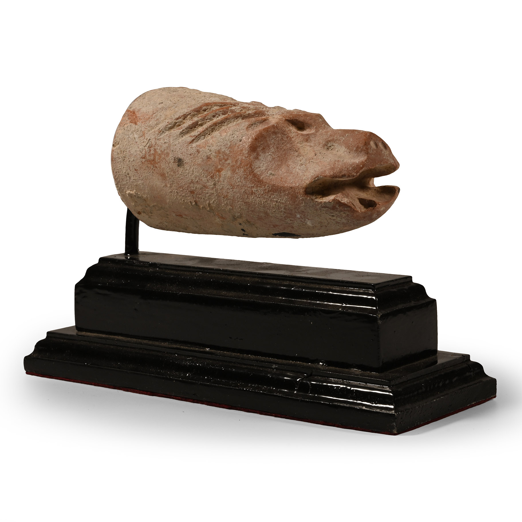 Gandharan Terracotta Lupine Head Finial