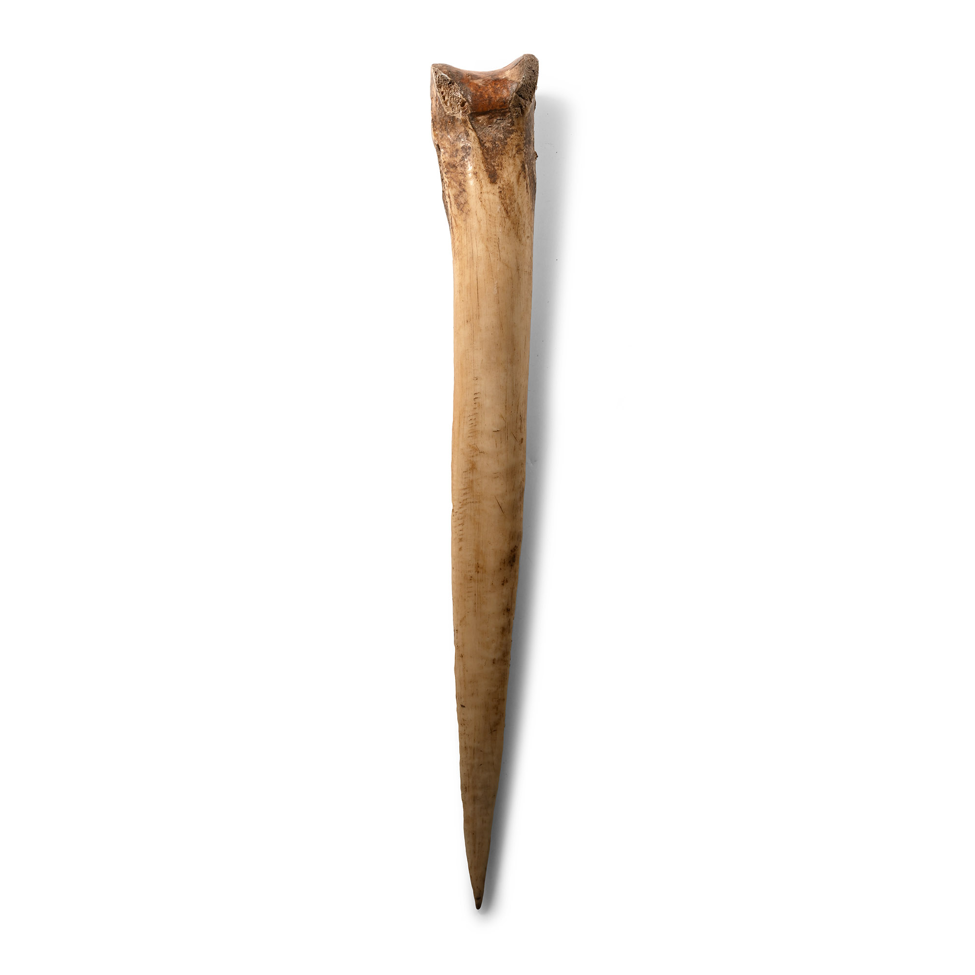 Large Medieval Bone Weaving Slay