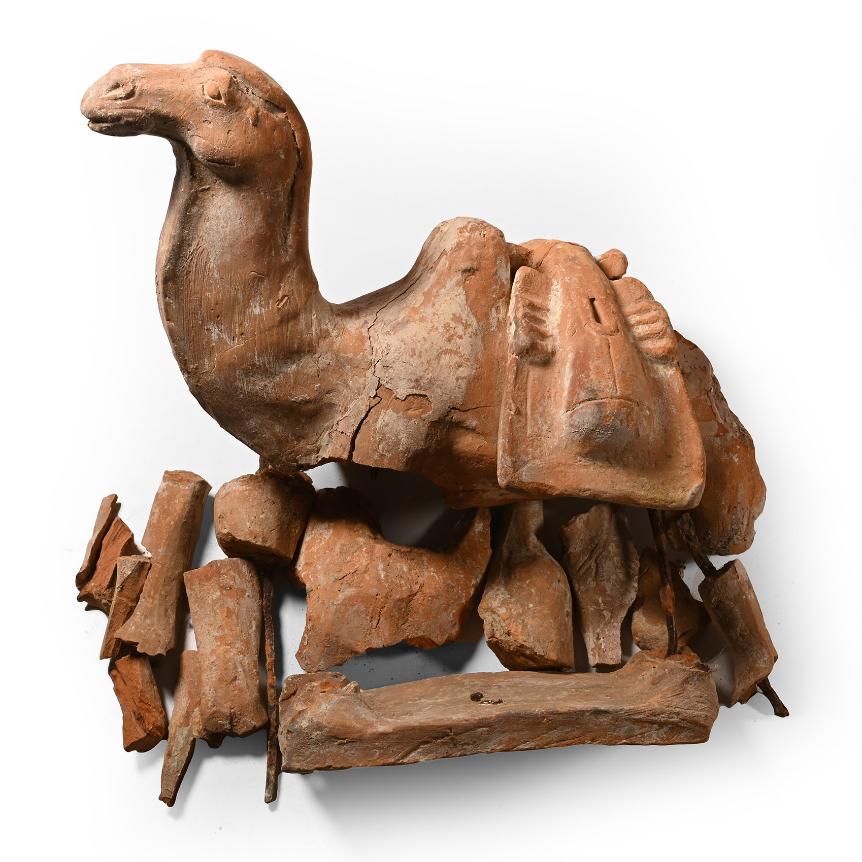 Chinese Tang Terracotta Camel Fragment Group