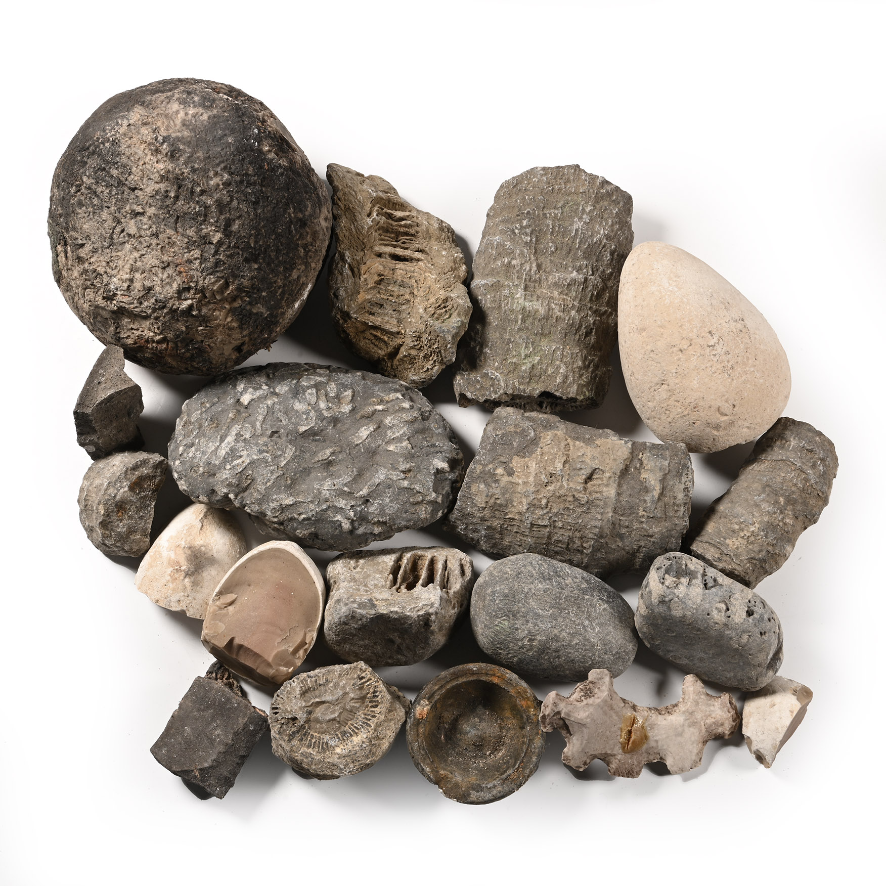 Mixed Fossil and Mineral Group