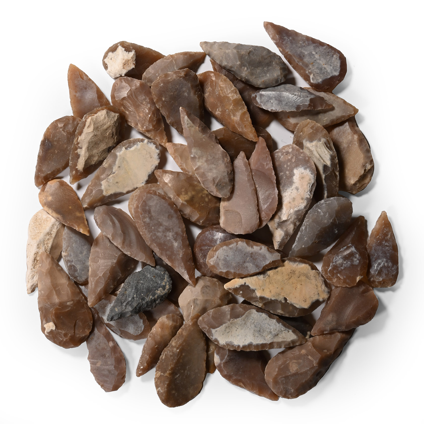 Stone Age Large Leaf-Shaped Arrowhead Collection