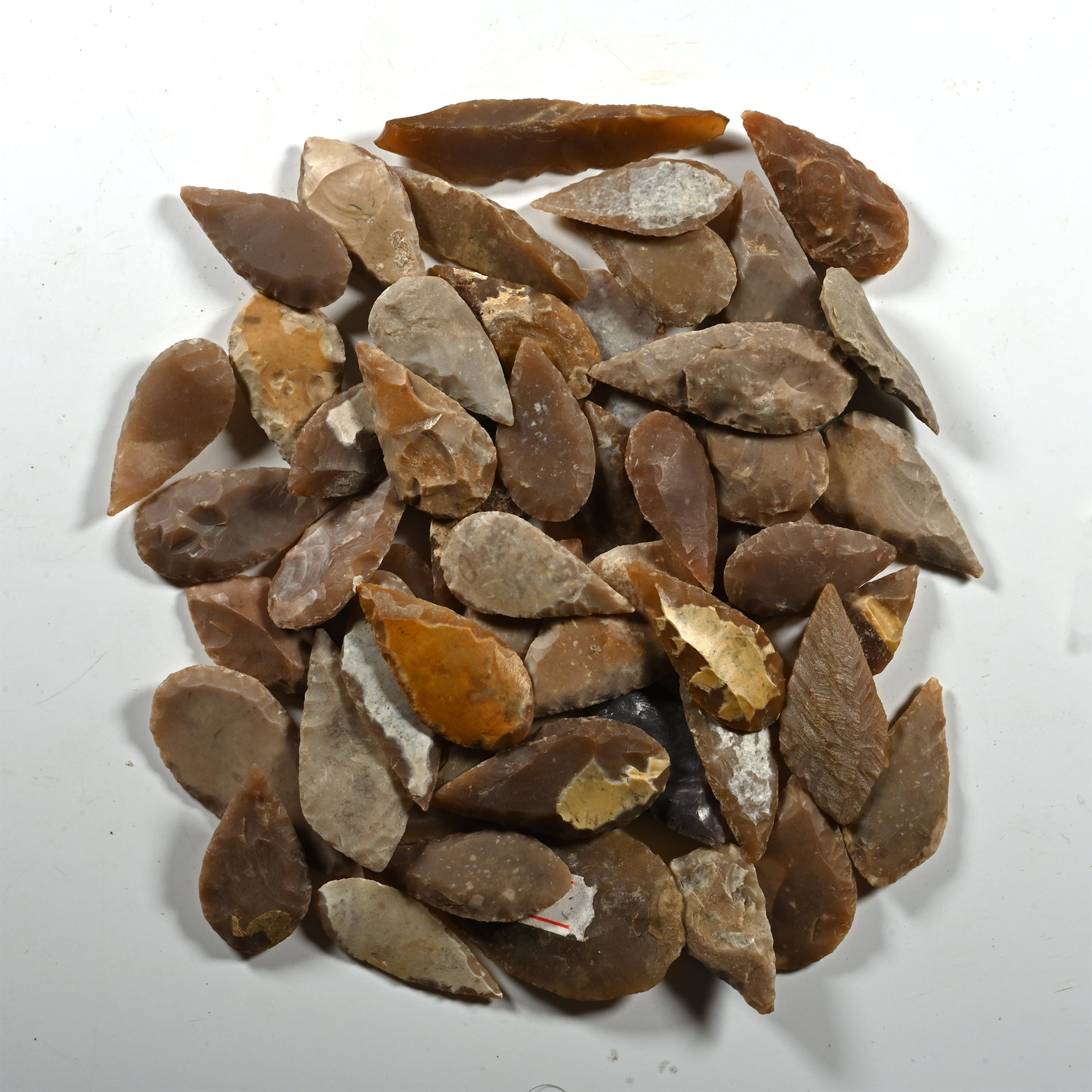 Stone Age Large Leaf-Shaped Arrowhead Collection