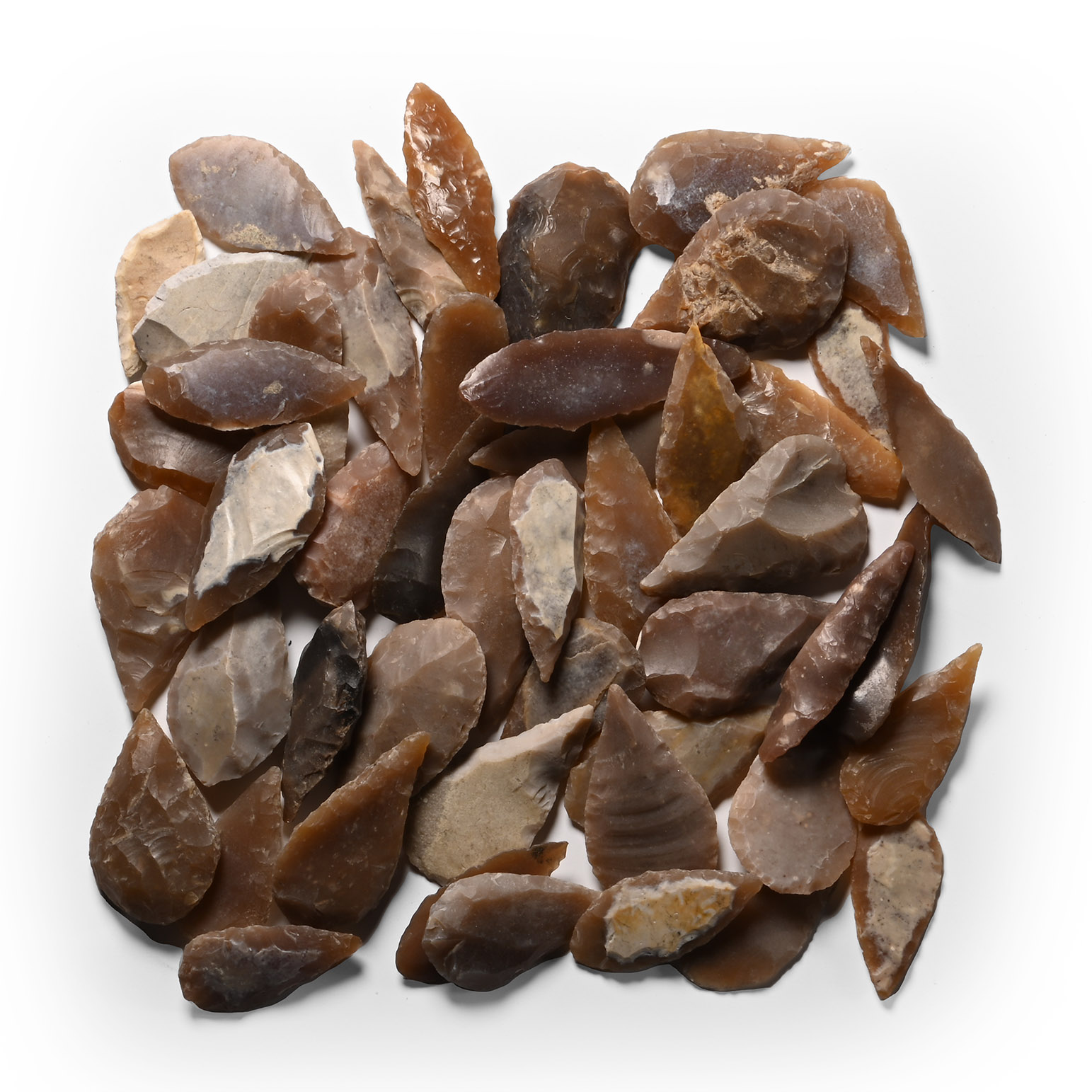 Stone Age Leaf-Shaped Arrowhead Collection