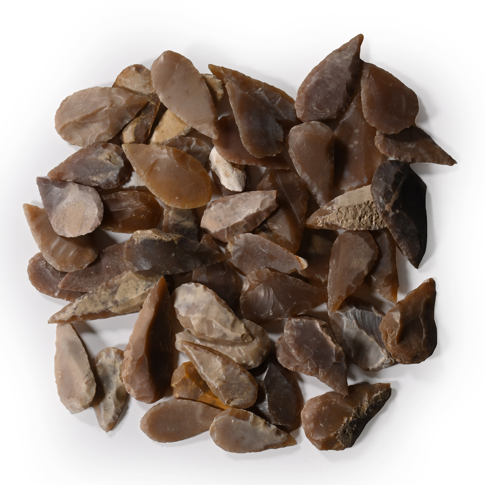 Stone Age Leaf-Shaped Arrowhead Collection