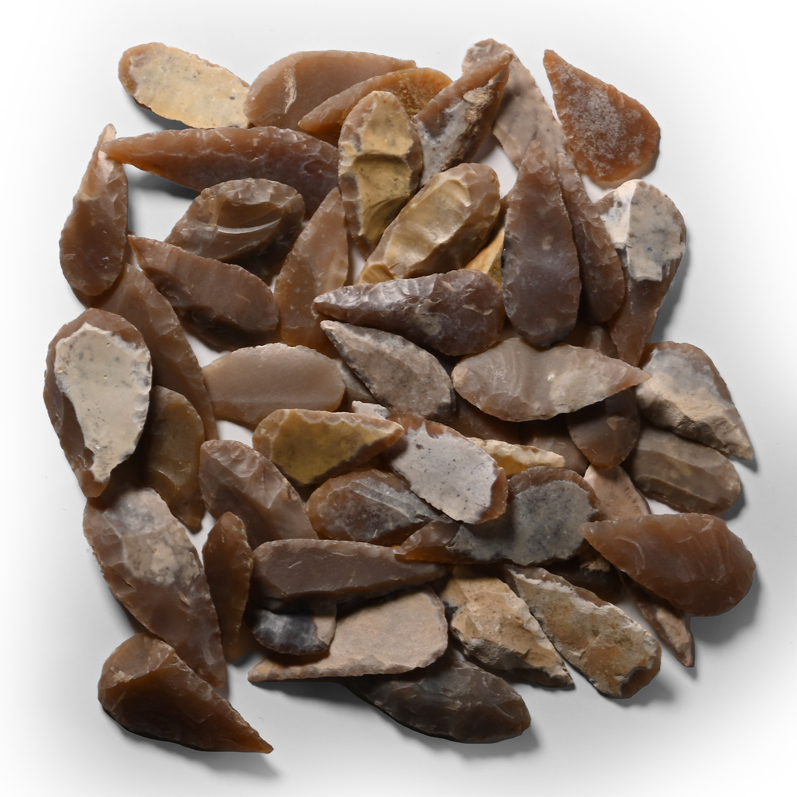 Stone Age Small Leaf-Shaped Arrowhead Collection