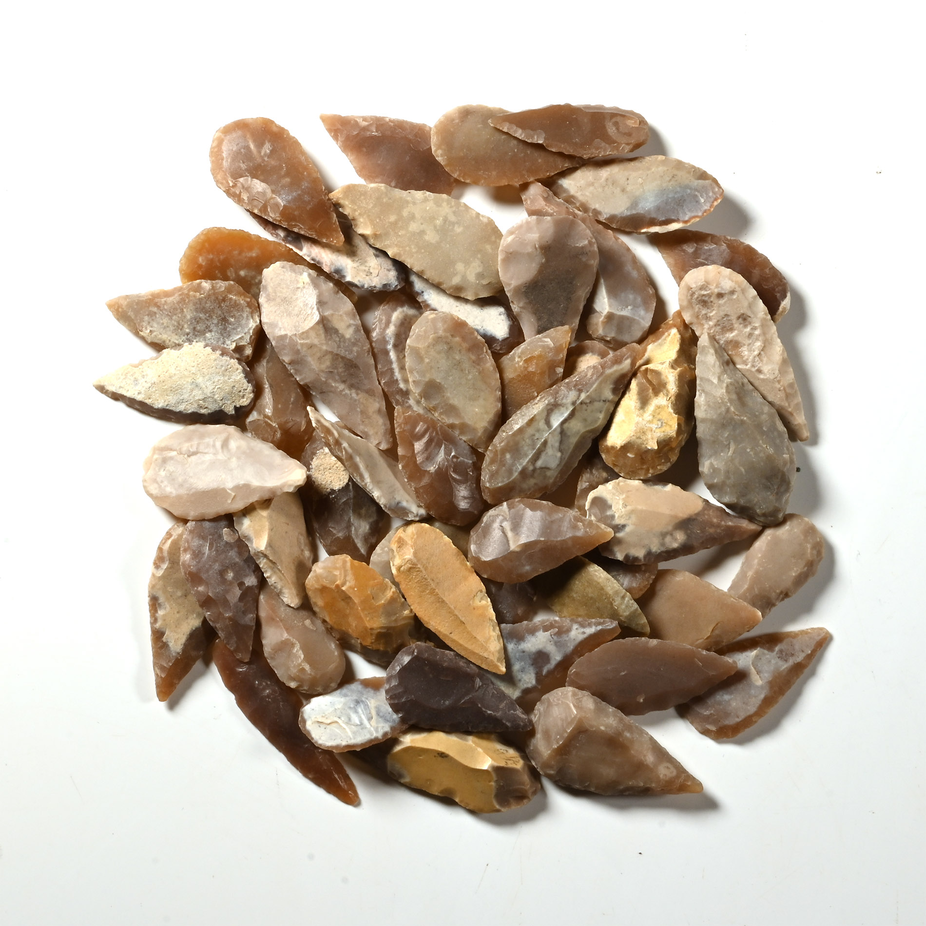 Stone Age Small Leaf-Shaped Arrowhead Collection