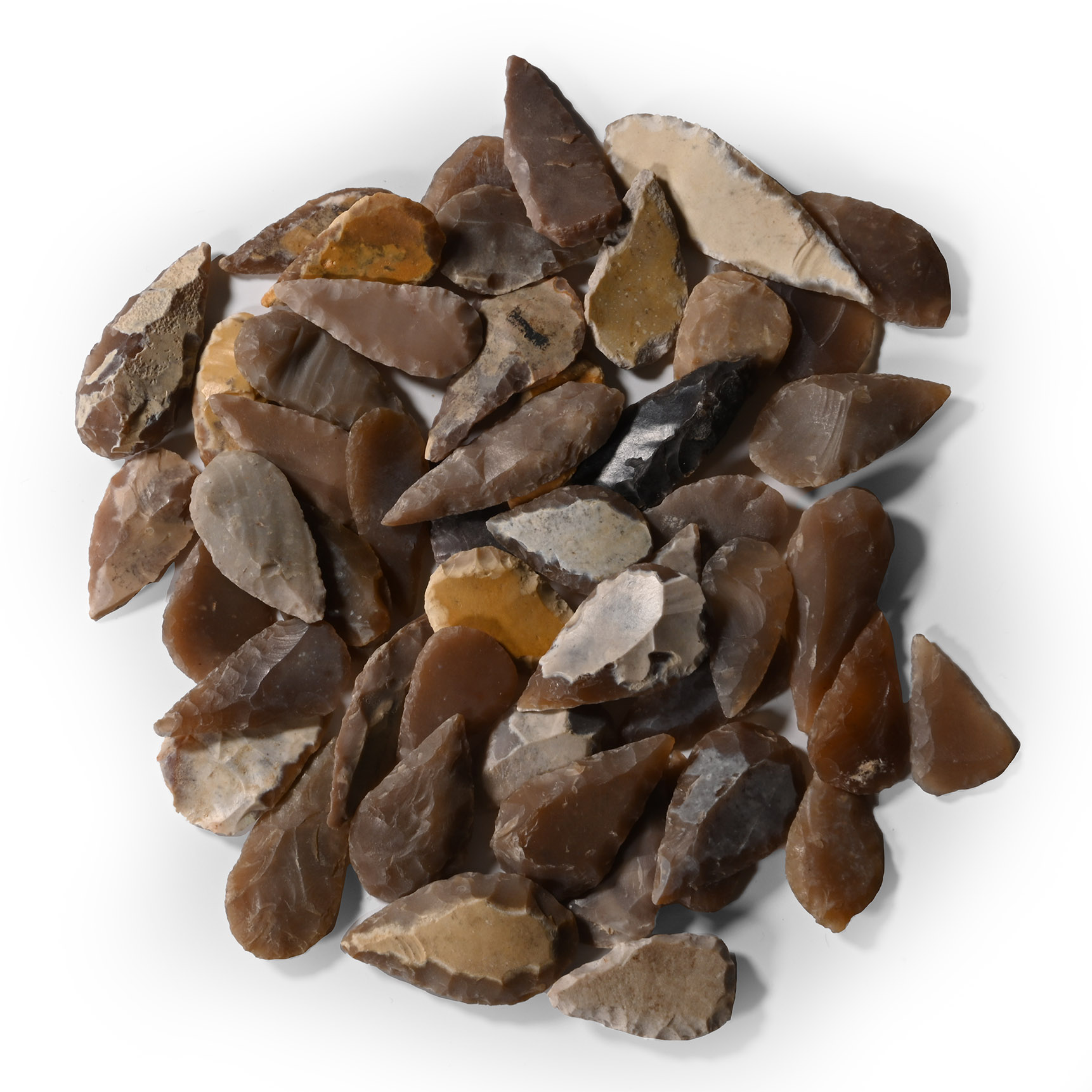 Stone Age Leaf-Shaped and Other Arrowhead Collection
