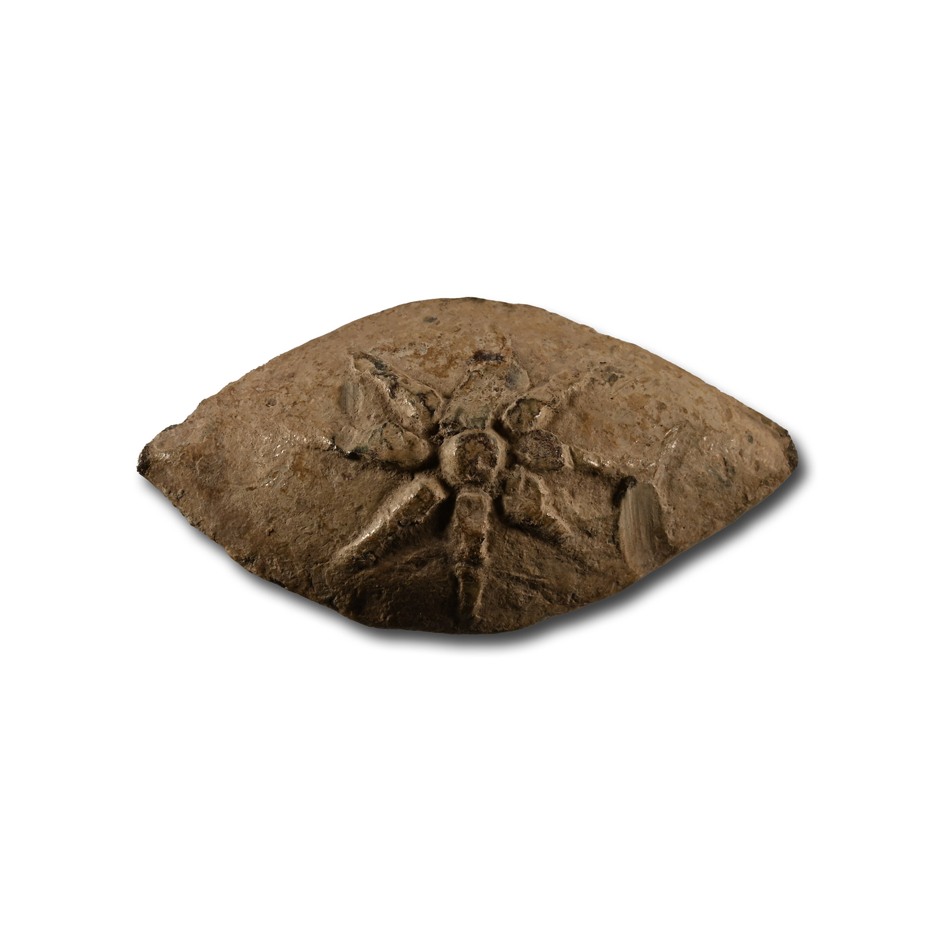 Greek Macedonian Lead Sling Shot