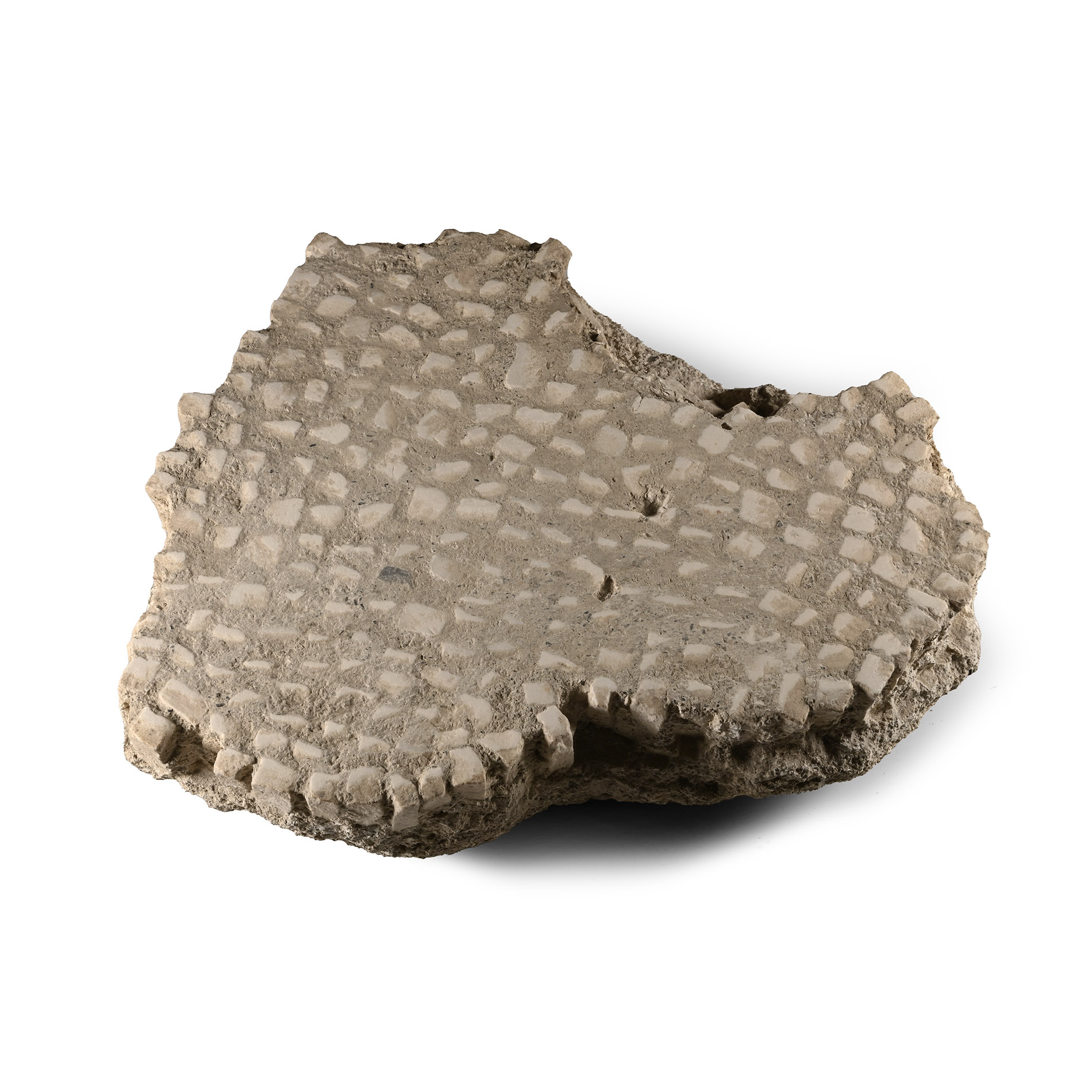 Roman Mosaic Floor Section