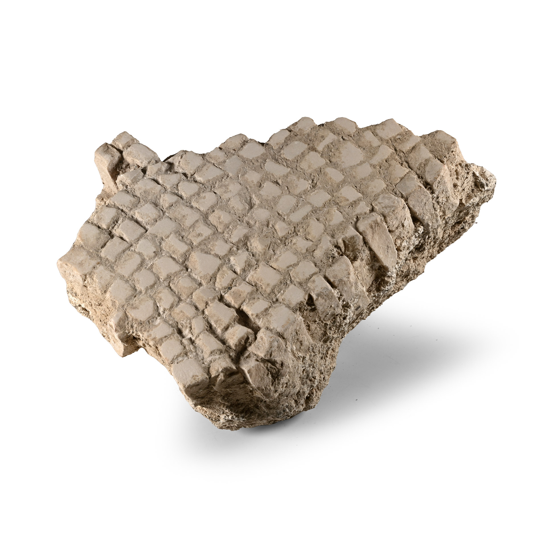 Roman Floor Mosaic Section