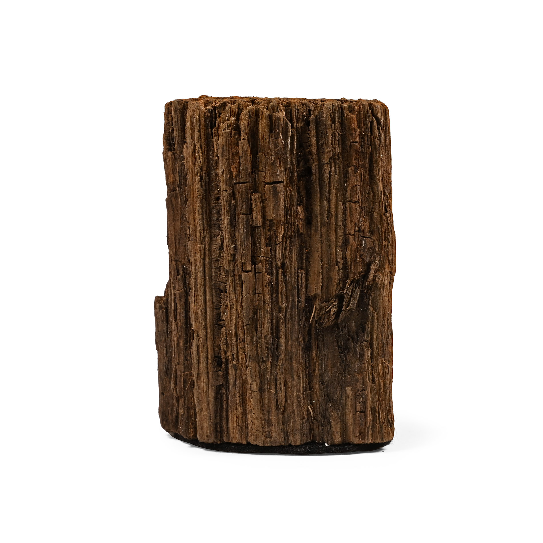 Iron Age Celtic Period Bog Oak Section