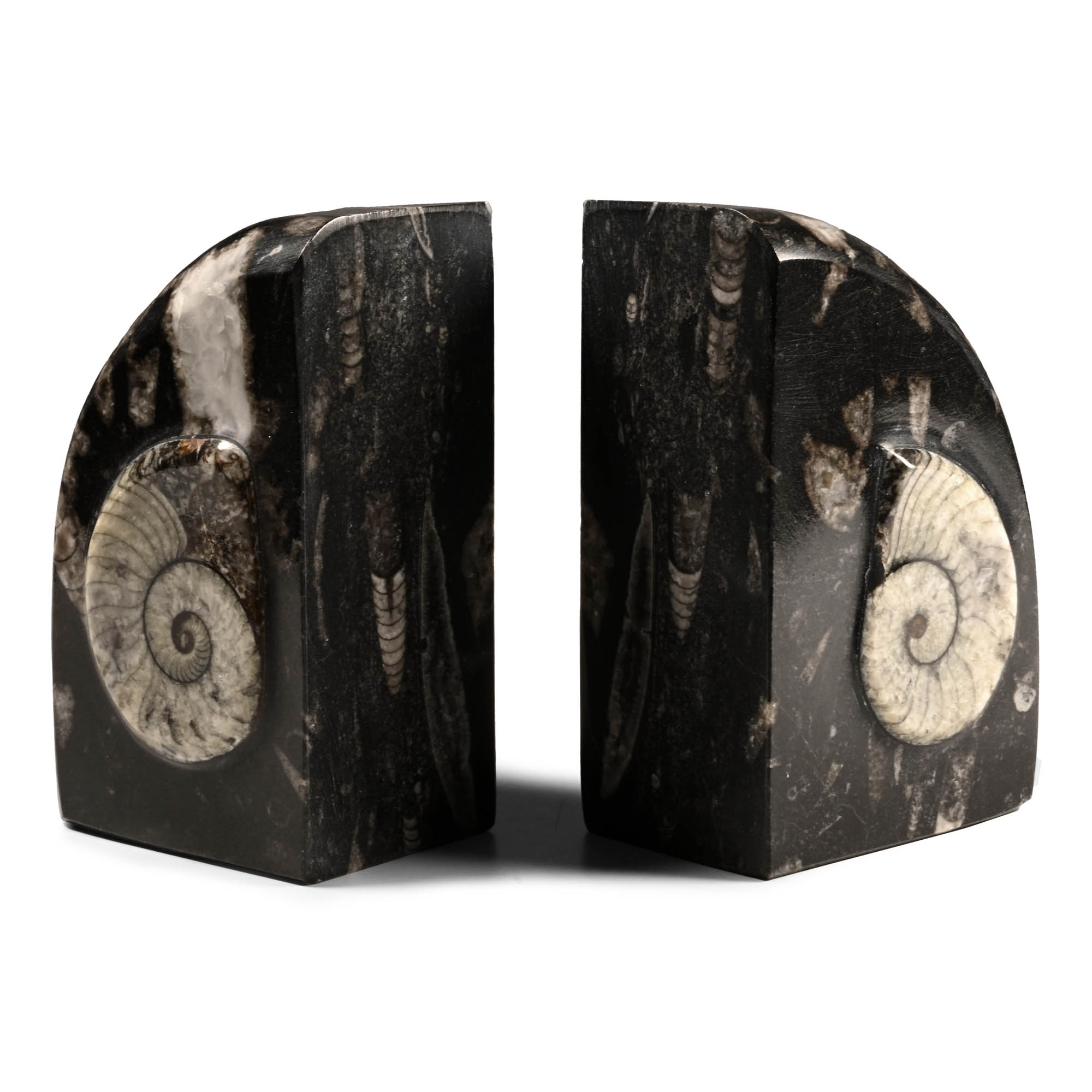 Polished Fossil Orthoceras Bookend Pair