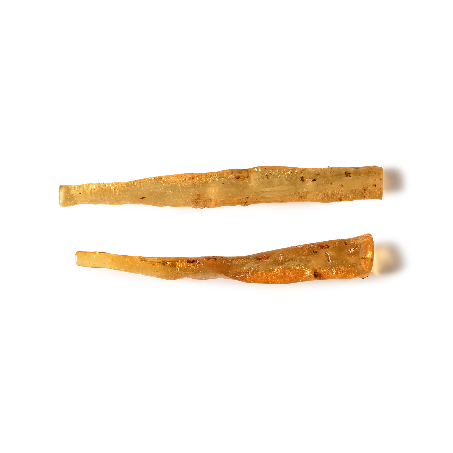 Insects in Copal Pair