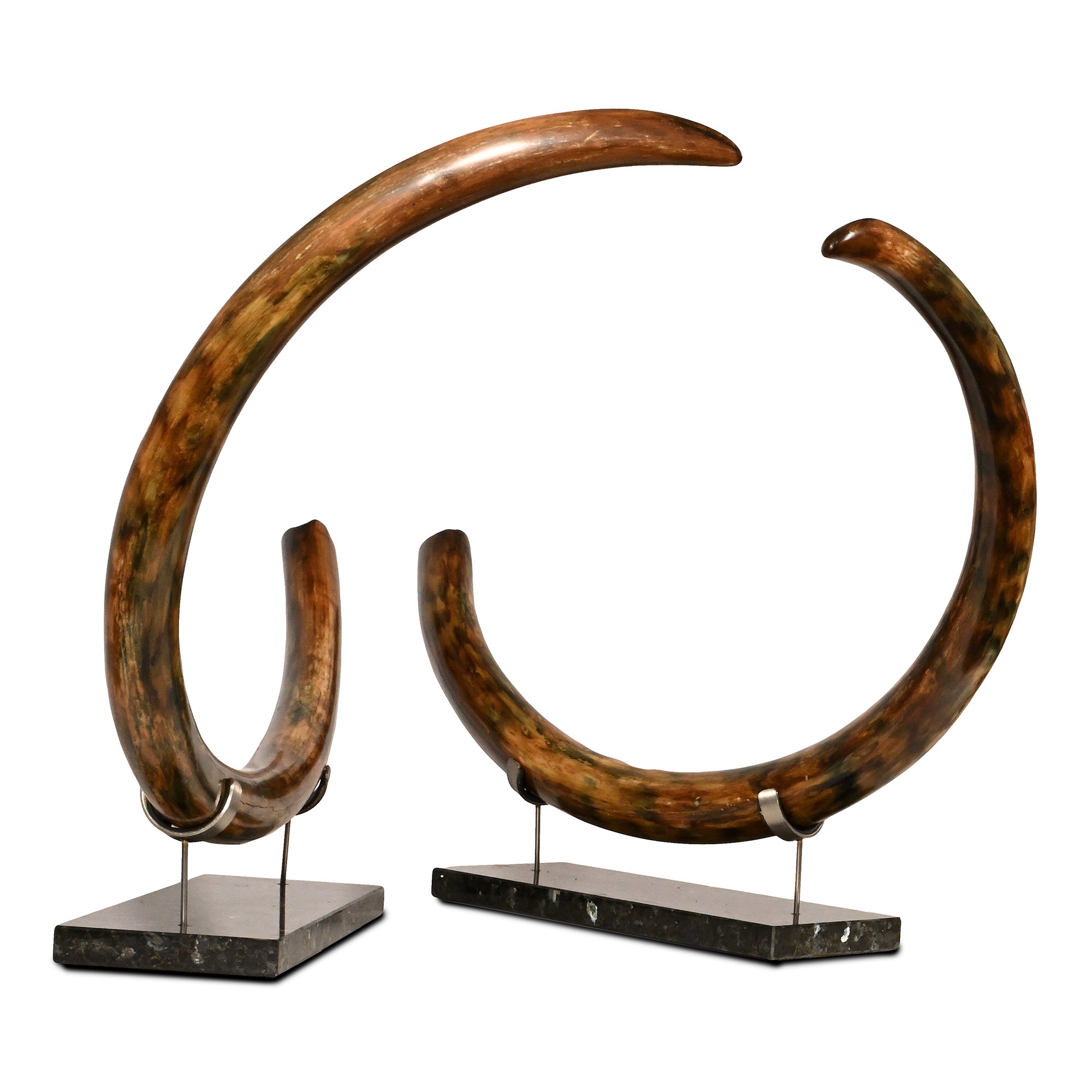 Spectacular Woolly Mammoth Tusk Pair