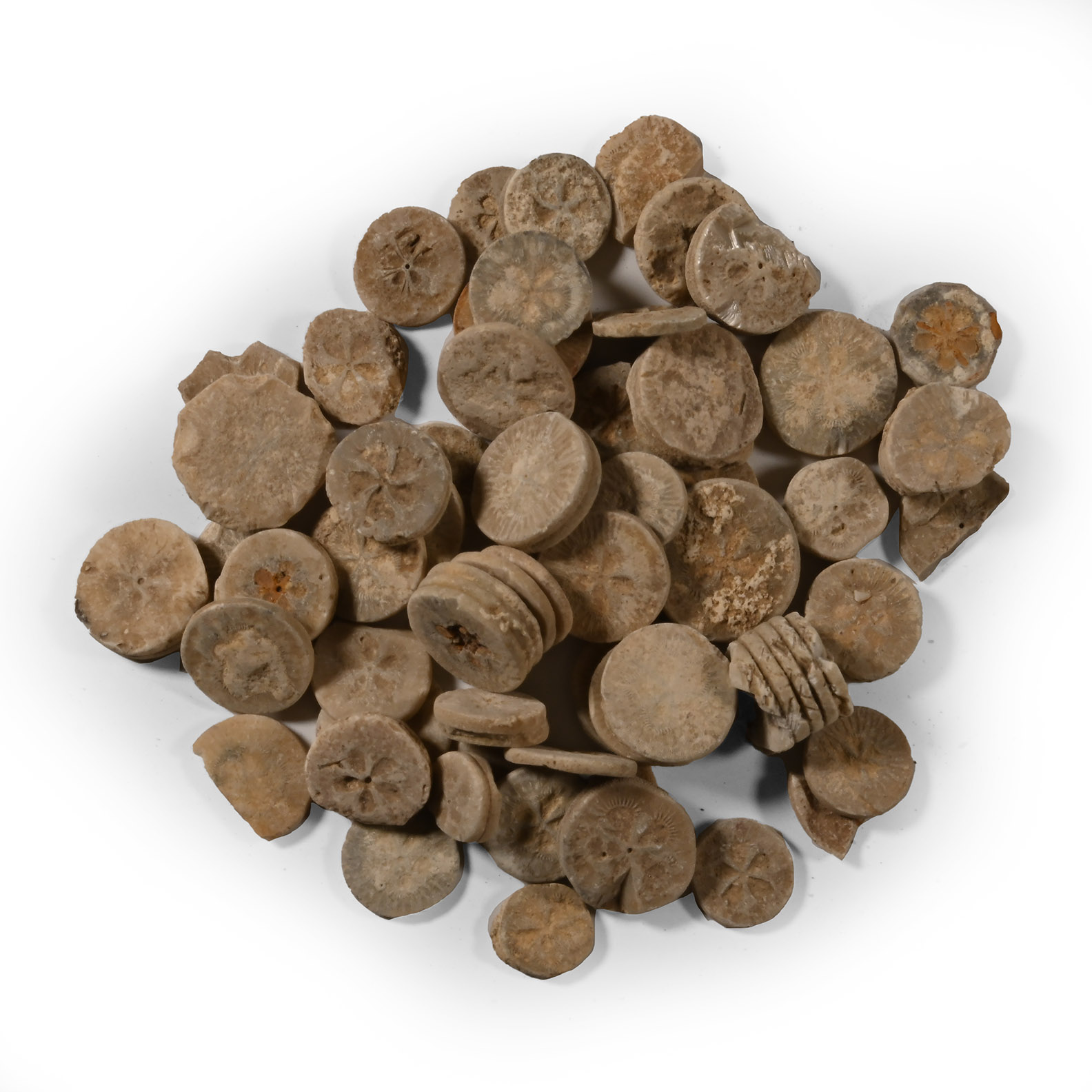 Romano-Egyptian Limestone 'Floral' Inlay Group