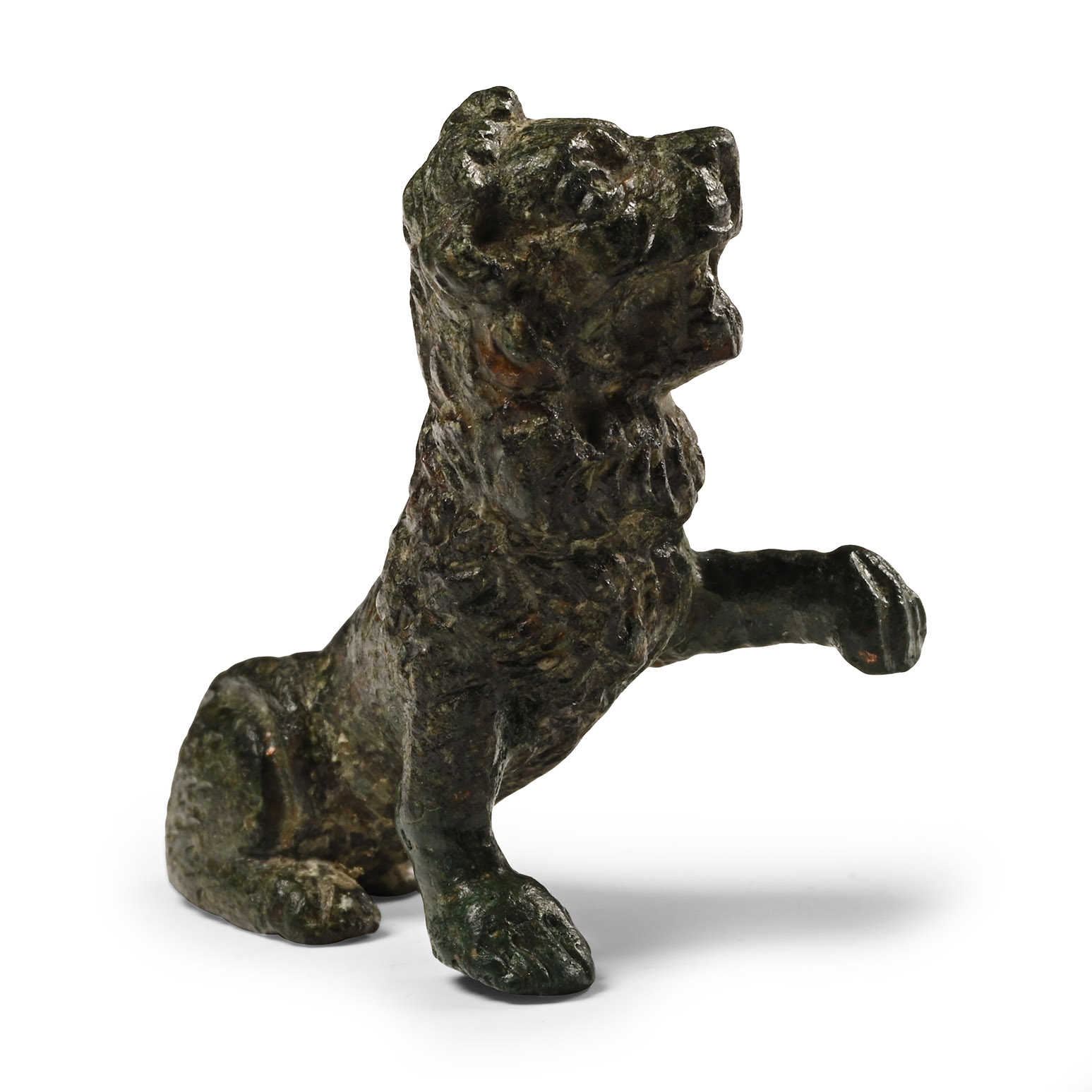Roman Bronze Roaring Lion with Raised Paw