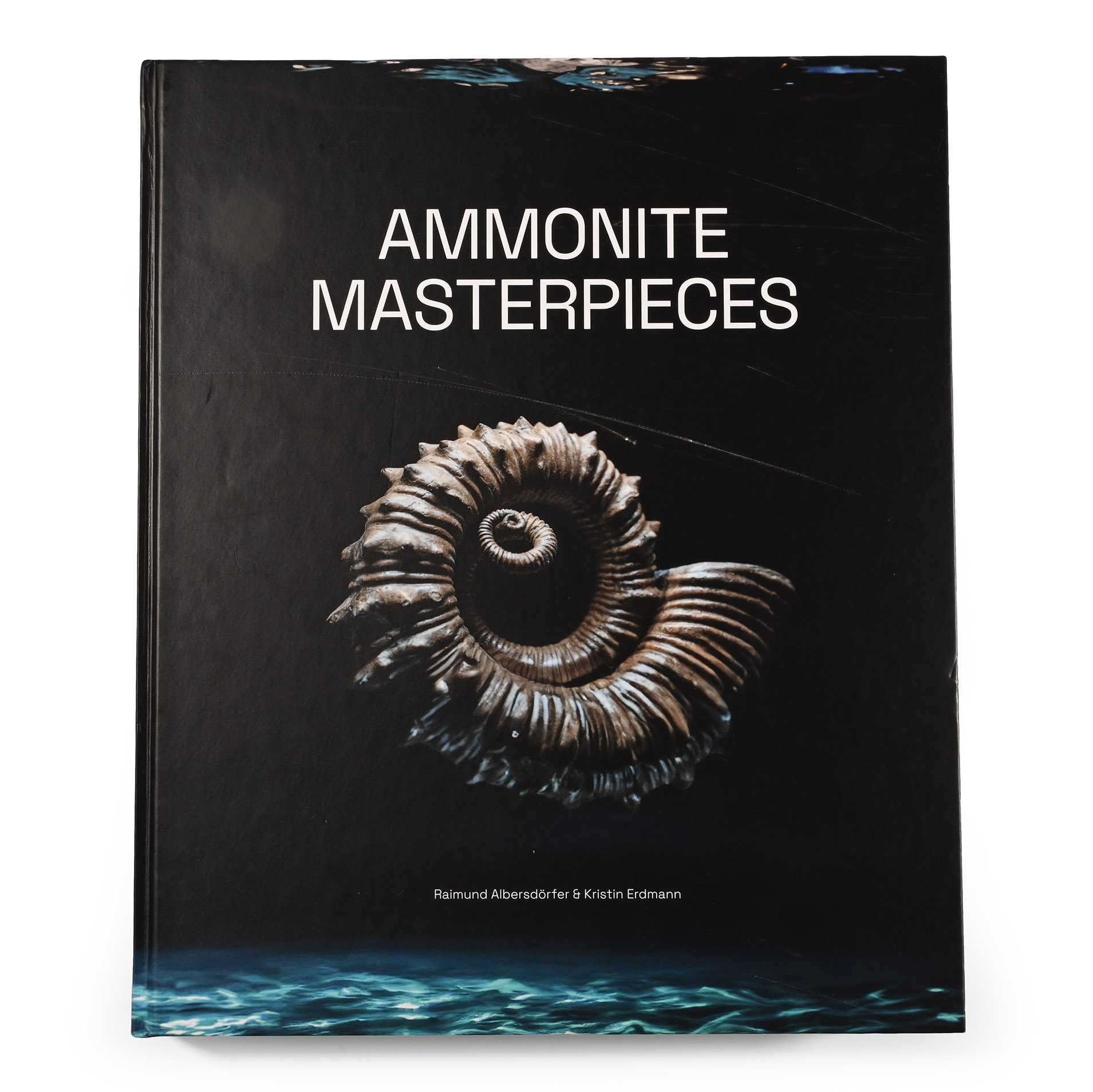 Ammonite Masterpieces