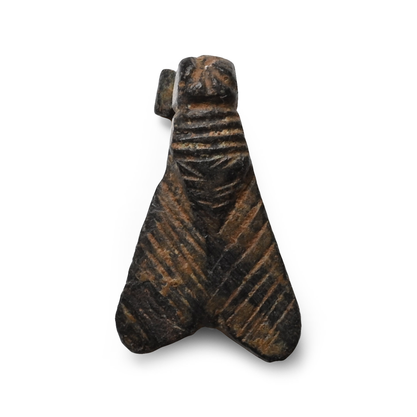 Roman Bronze Fly Brooch