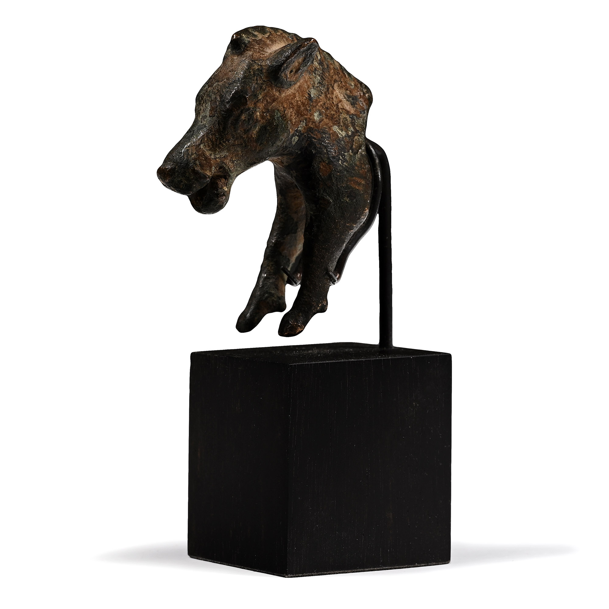 Iron Age Celtic Boar Protome