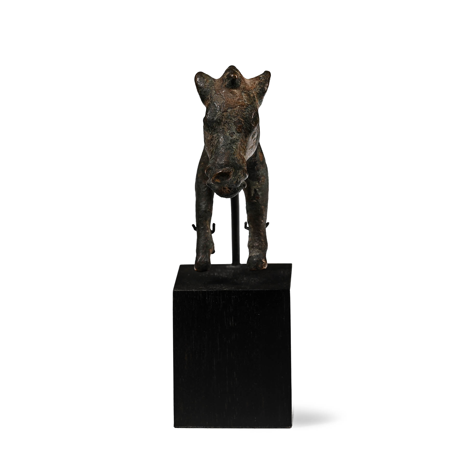 Iron Age Celtic Boar Protome