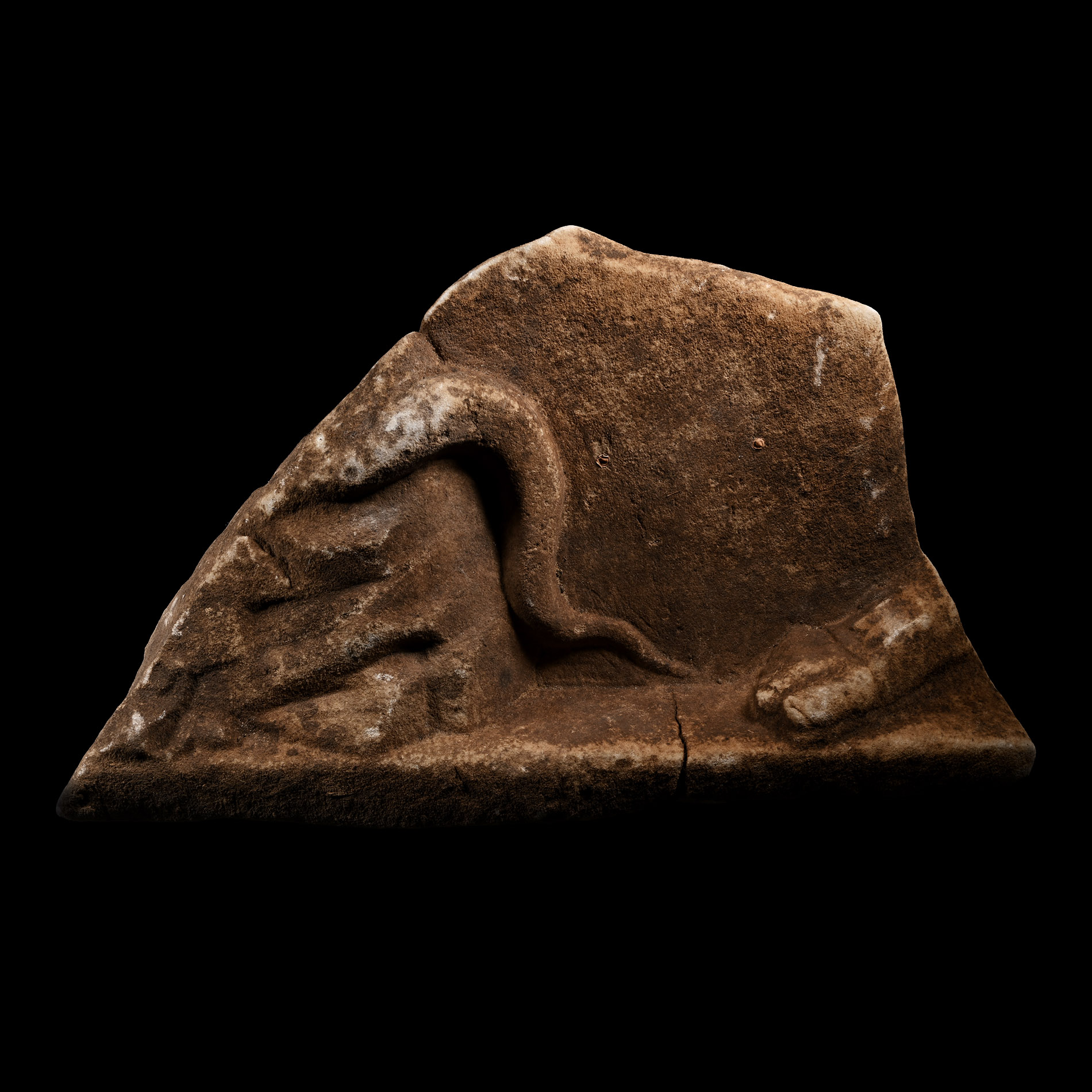 Roman Marble Relief Fragment with Snake