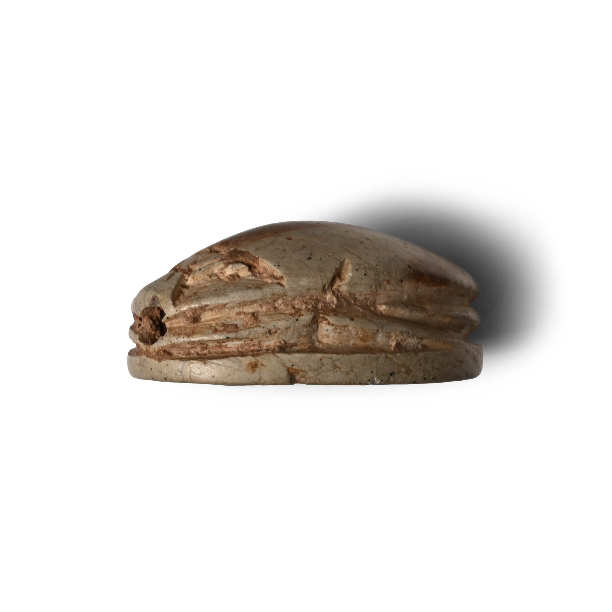 Egyptian Steatite Scarab