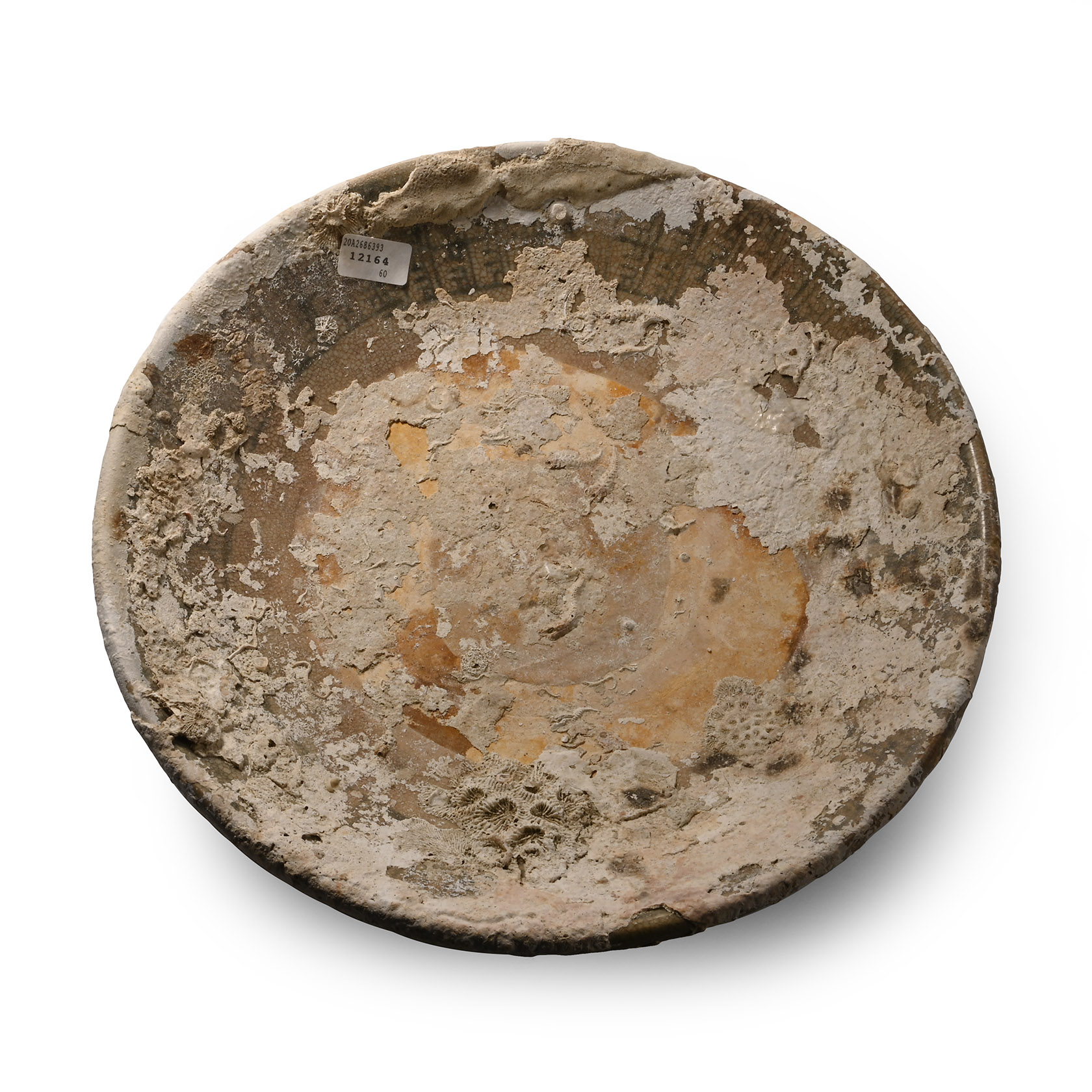 Large Sea Encrusted Tek Sing Treasure Shipwreck Glazed Blue and White Plate