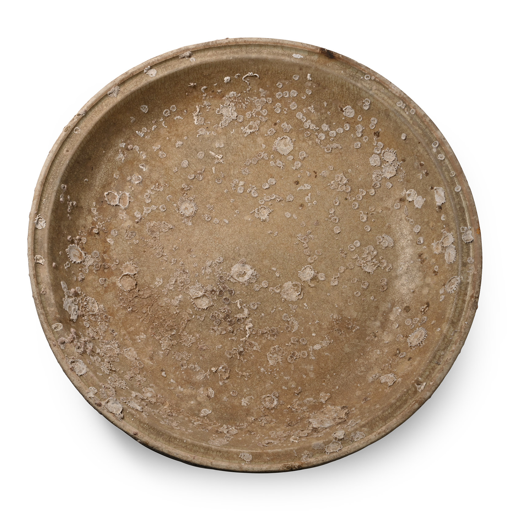 Massive Sea Encrusted Hoi An Cargo Shipwreck Glazed Plate