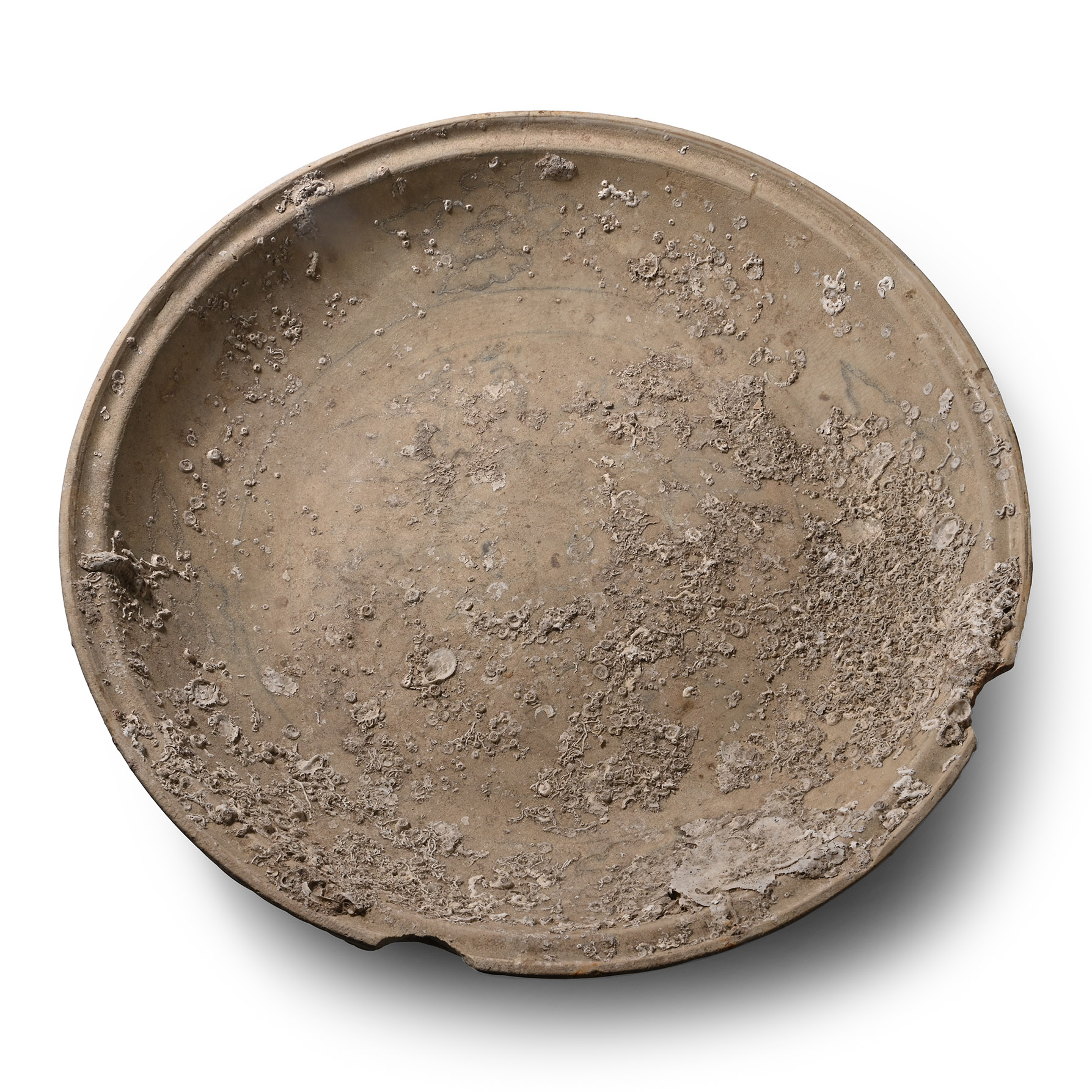 Massive Hoi An Cargo Shipwreck Sea Encrusted Glazed Blue and White Platter