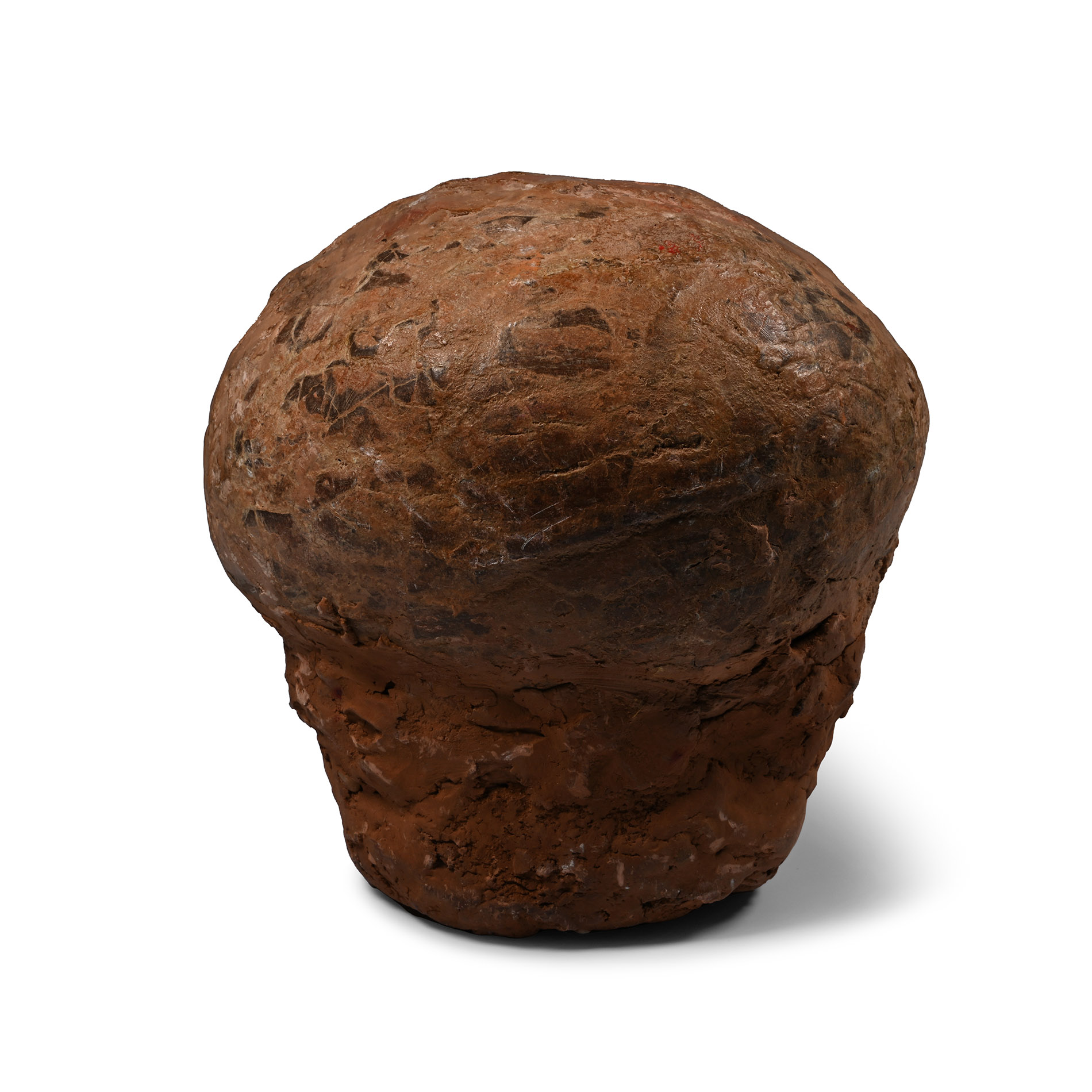 Hadrosaur Dinosaur Egg