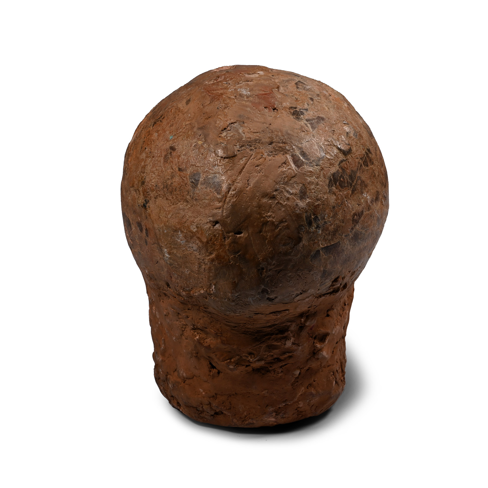 Hadrosaur Dinosaur Egg