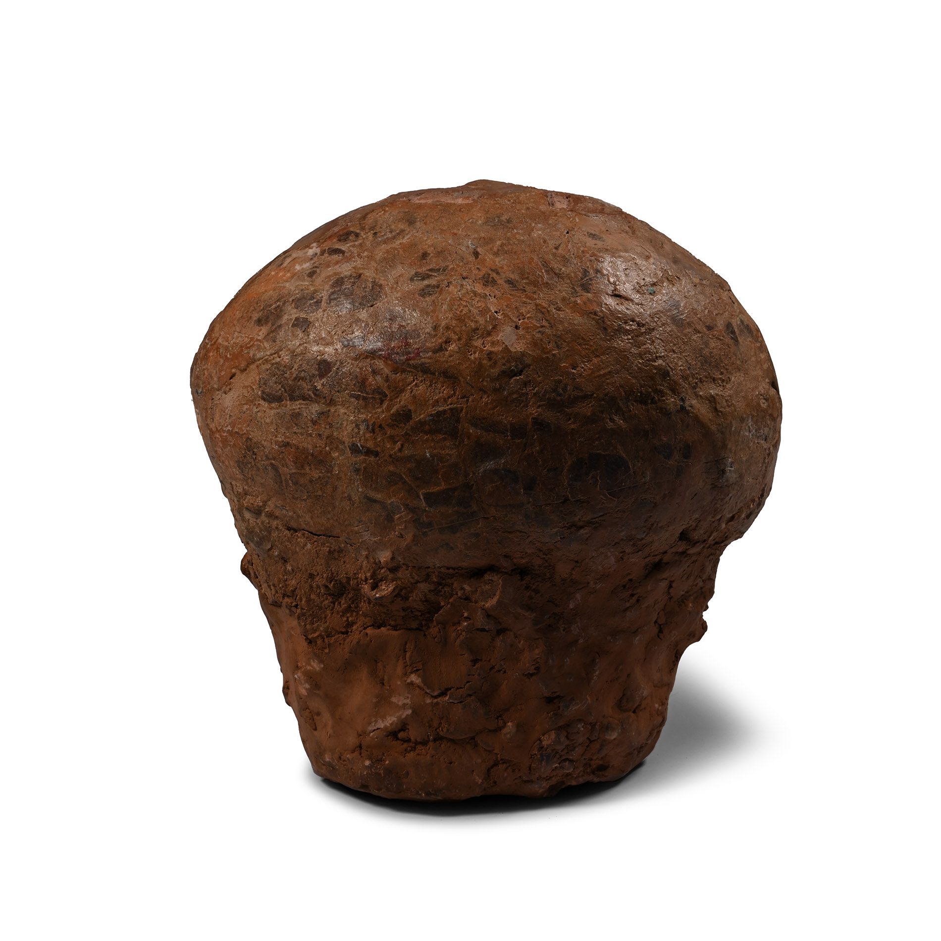 Hadrosaur Dinosaur Egg