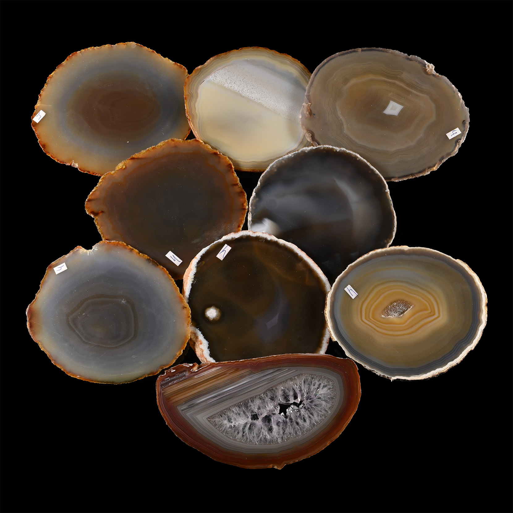 Cut and Polished Agate Geode Slice Collection [9]