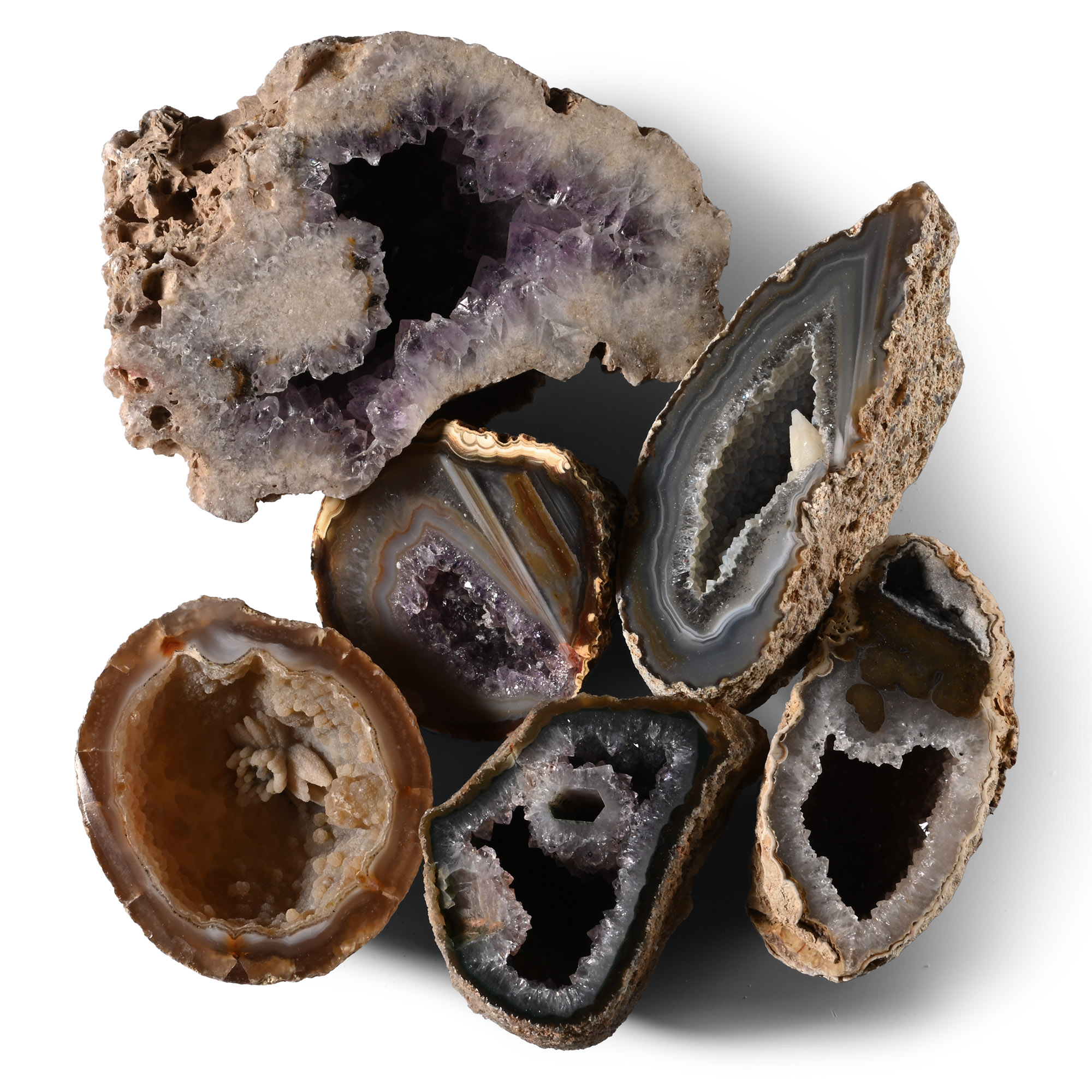 Cut and Polished Agate Crystal Geode Half Collection [6]