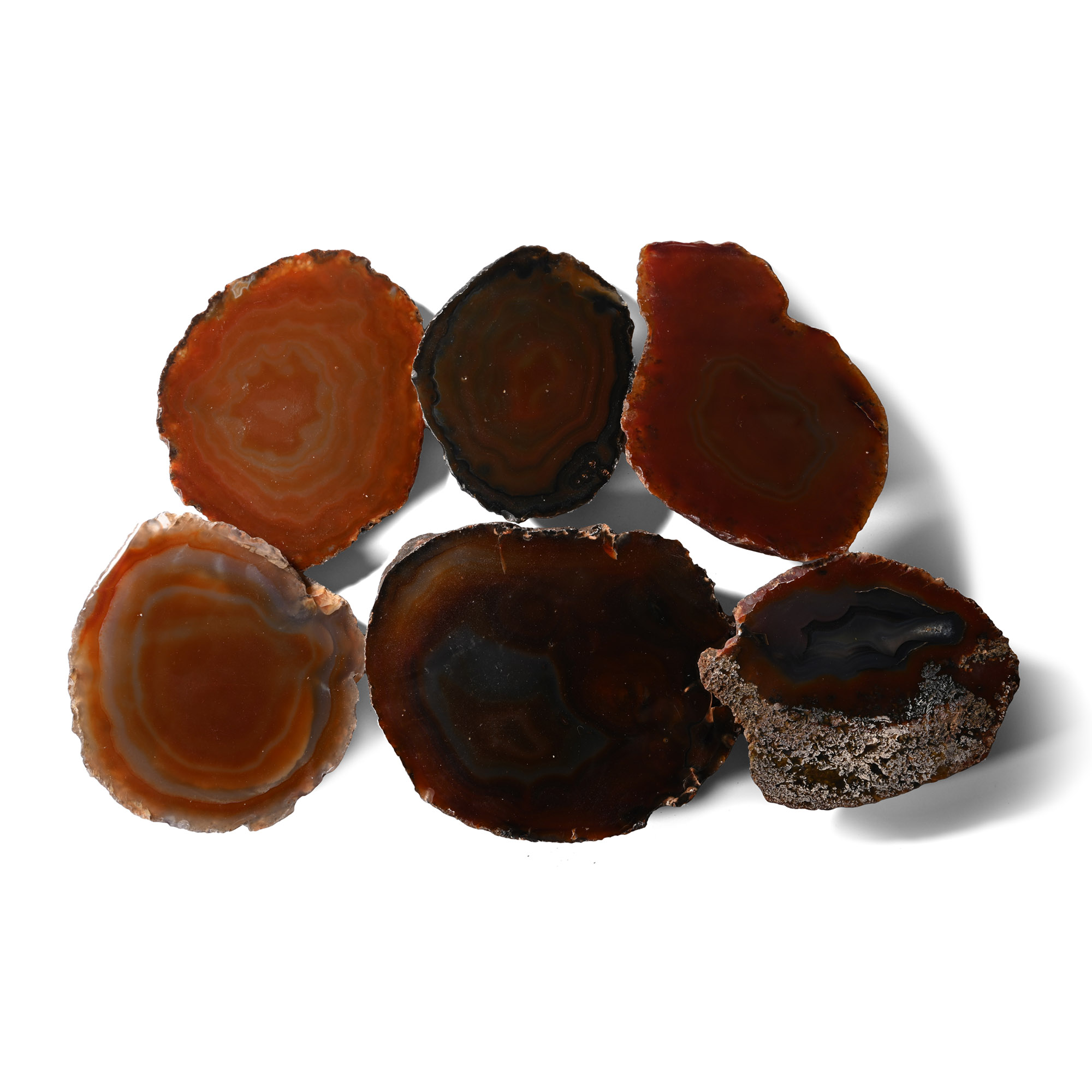 Cut and Polished Large Agate Geode End Group [6]