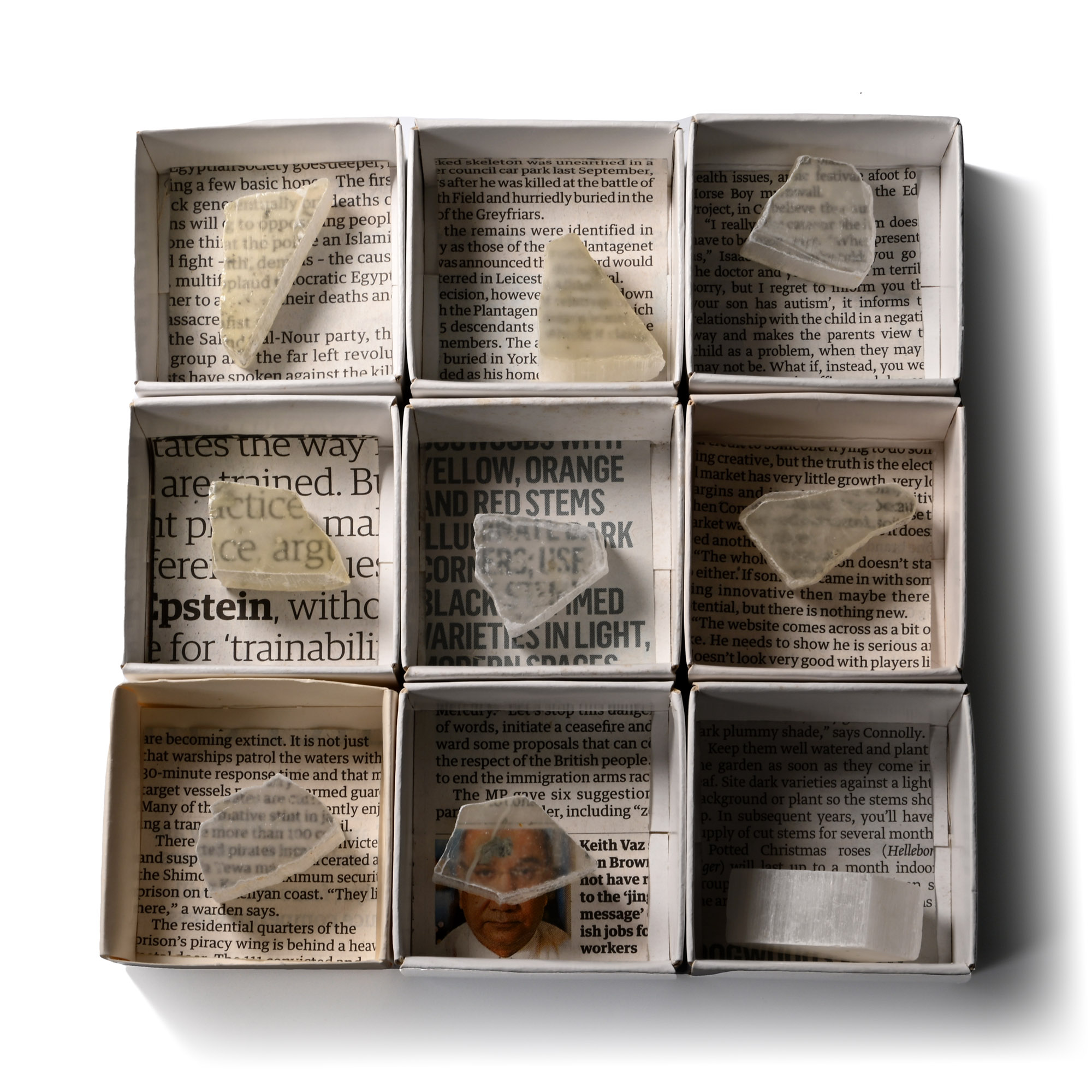 Boxed Optical Selenite Mineral Specimen Group [9]