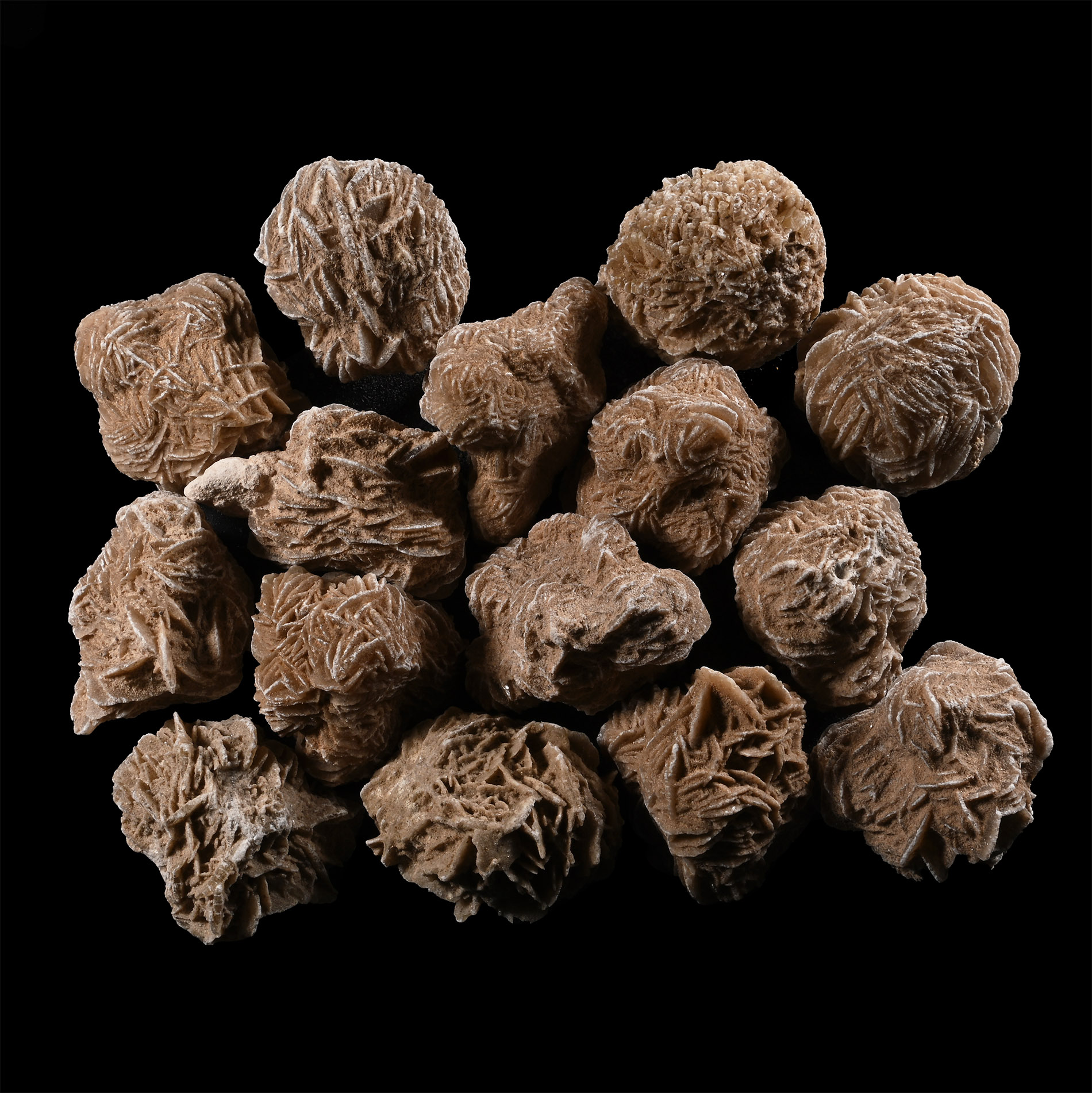 Large Desert Rose Gypsum Specimen Group [15]