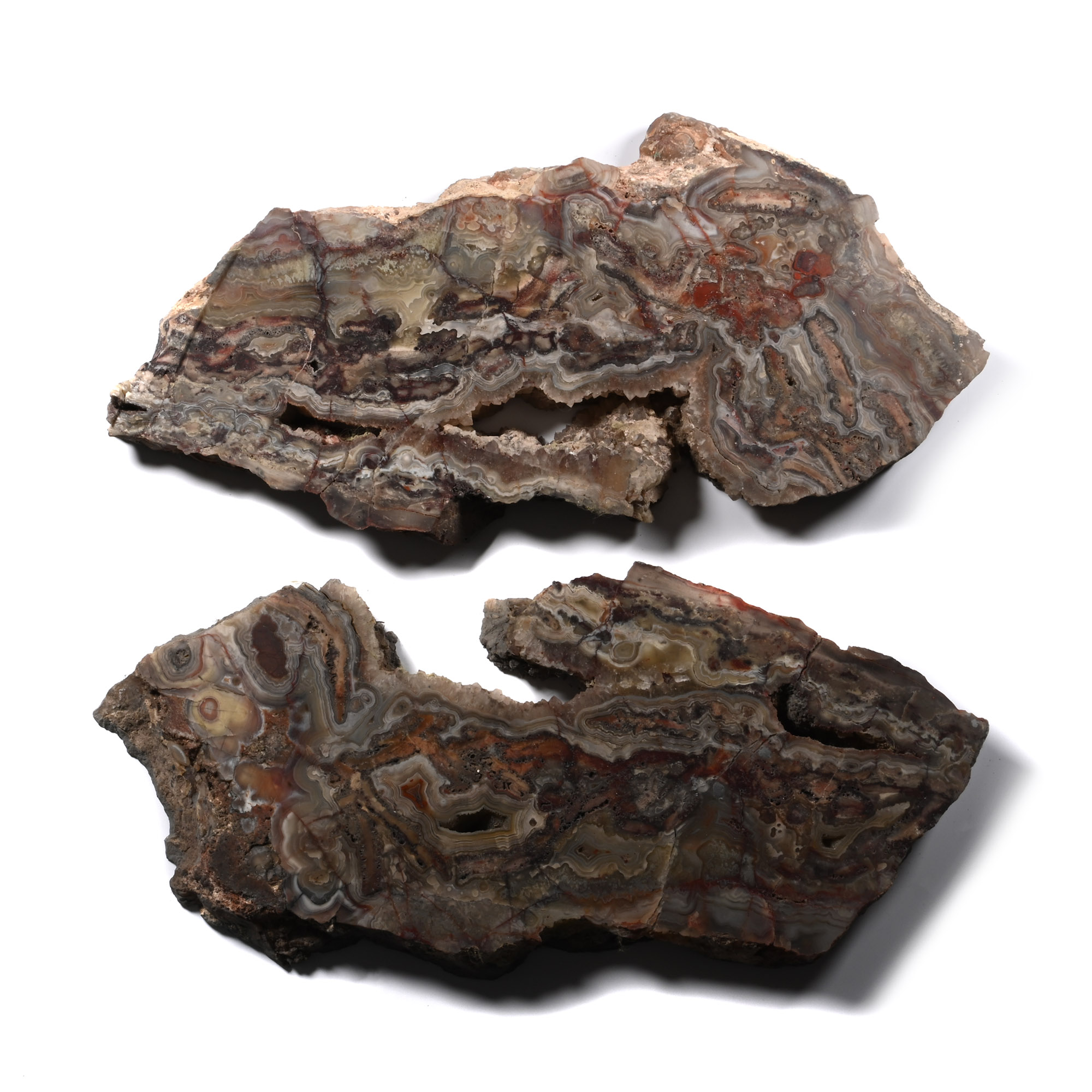 Large Cut Malawi Agate Boulder Section Pair [2]