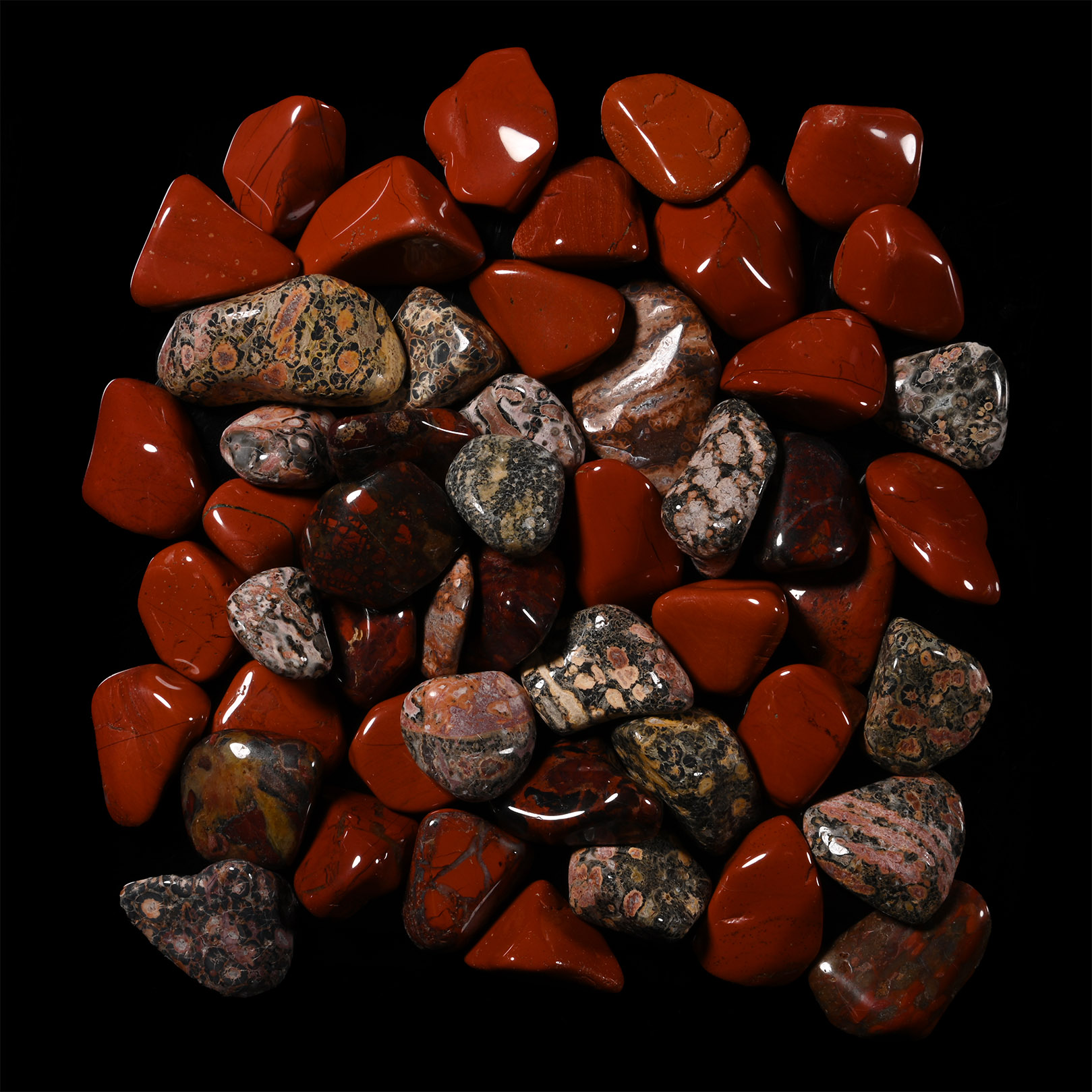 Polished Mixed Jasper Mineral Specimen Group [51]