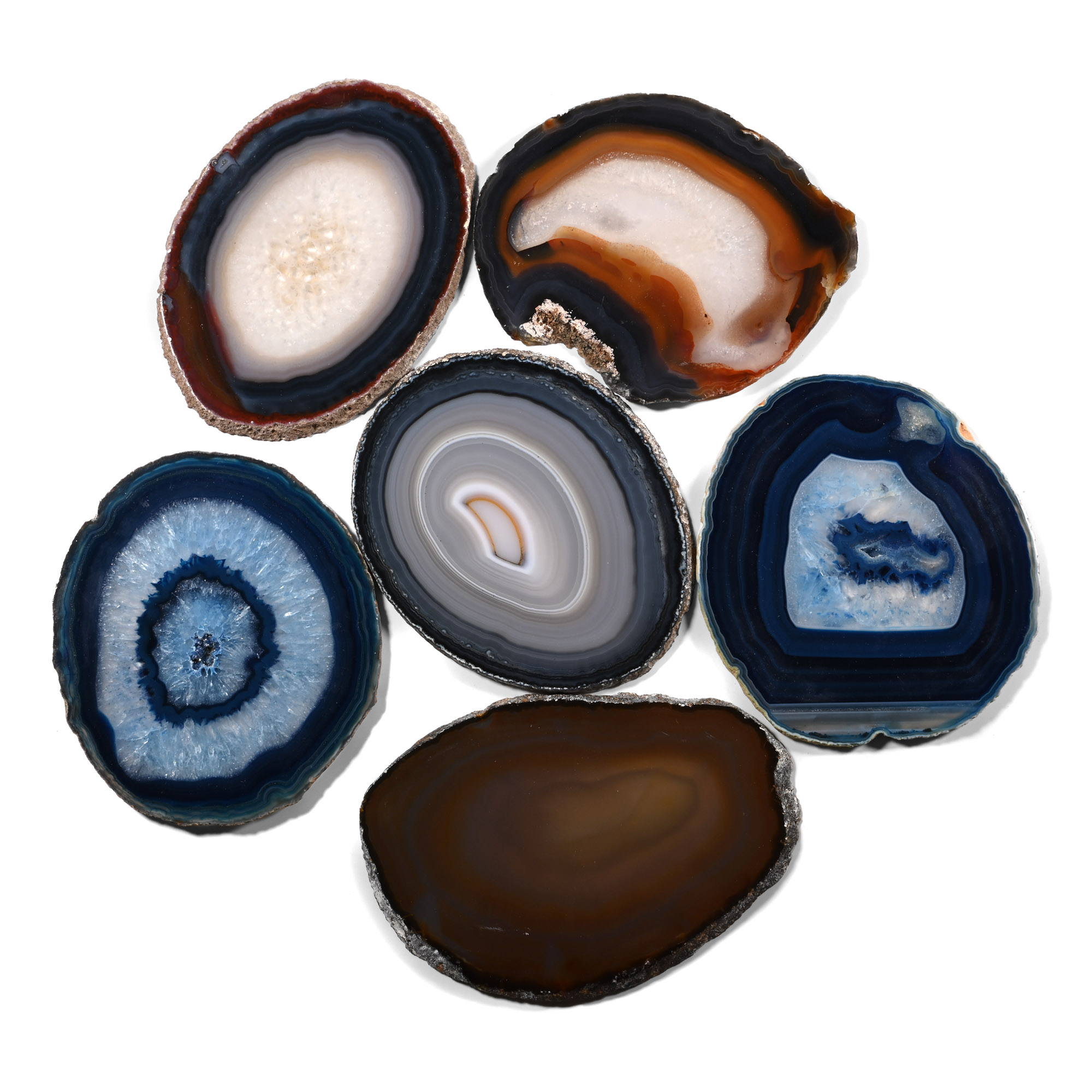 Cut and Polished Agate Slice Collection [6]